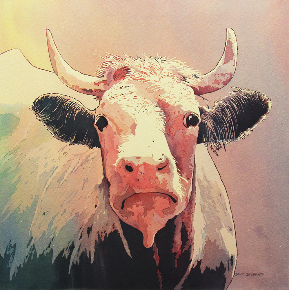   “Moo”    Watercolor   15” x 15” 