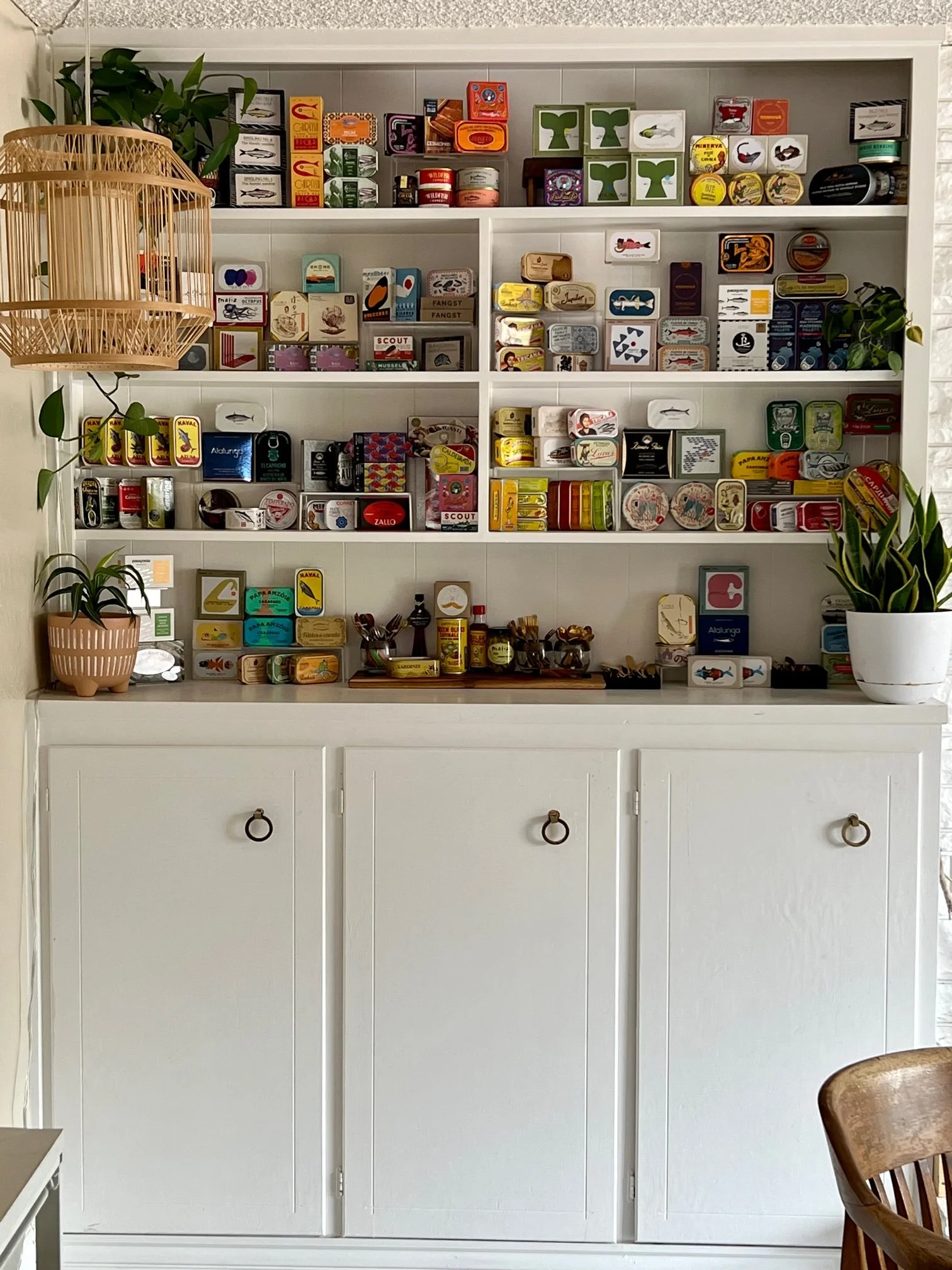 Tinned Fishionado | Shop
