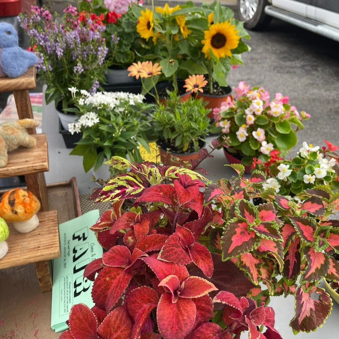 Things are blooming on Main Street! πΊ
Stop by Main & Center St. tomorrow (3–6:30 PM) for fresh finds and live music from Whiskey Tango.
#visitgeneseo #geneseofarmersmarket