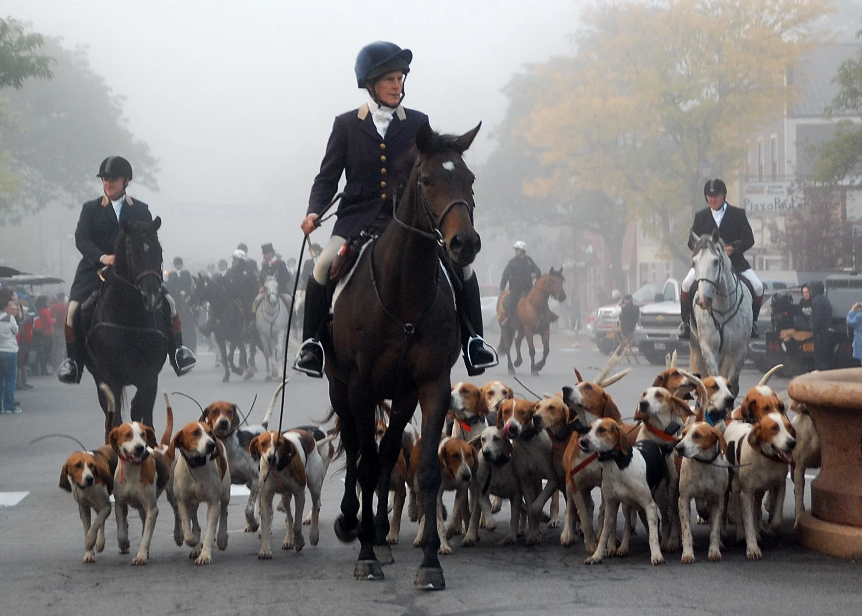 Once  a year the Genesee Valley Hunt parades down Main Street  in full regalia.  Join us tomorrow, Saturday, Sept. 27,  and arrive early (by 7:30 am) to catch every moment. 
Does this happen any other place in the world?
Photo credit: Larry Tetamor