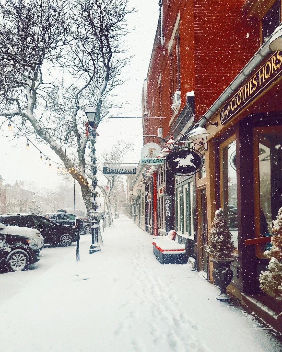 Welcome back @sunygeneseo  students. 👋

As students return for the semester, Main Street is buzzing with upcoming events, activities, and local happenings. 

➡️ Explore what&rsquo;s planned for the months ahead and discover upcoming events on our we