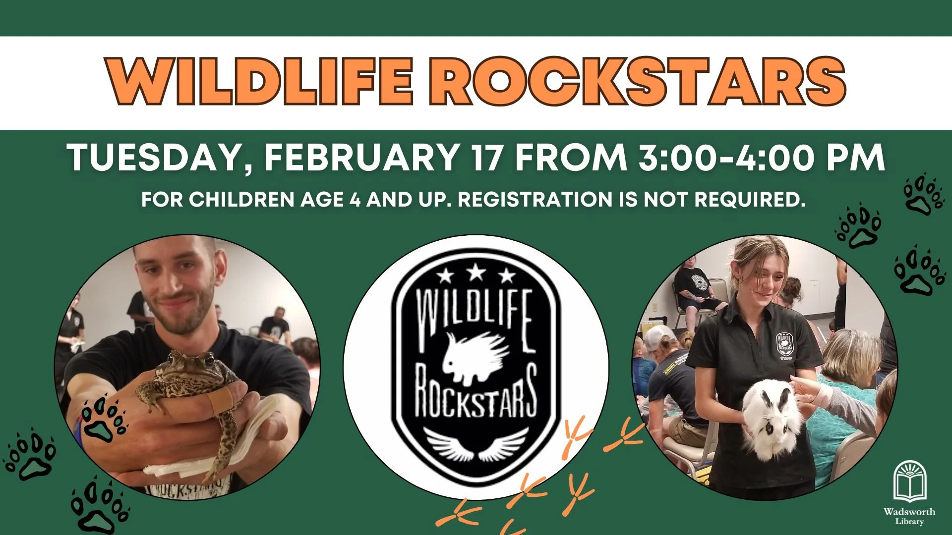 Wildlife Rockstars