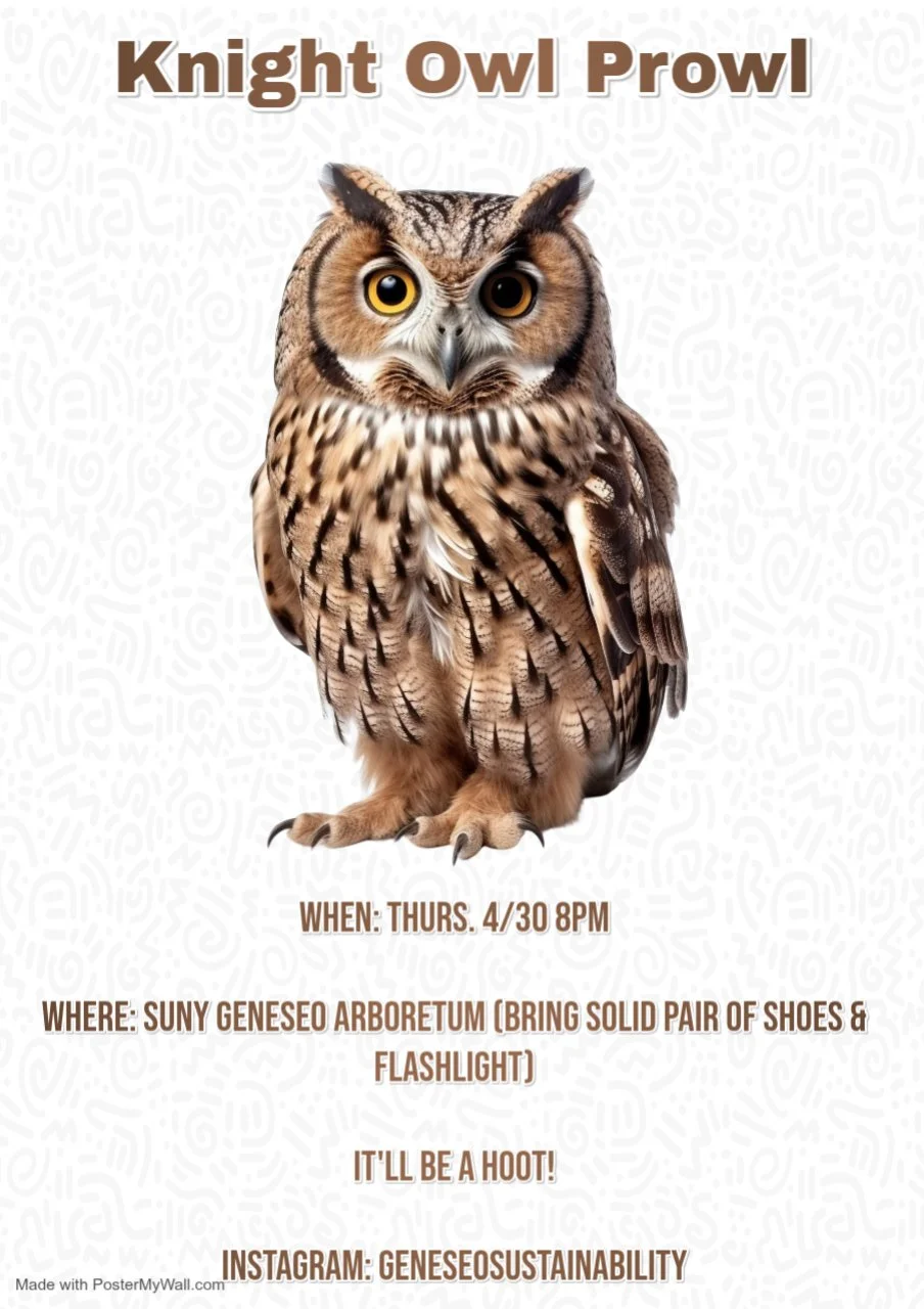 Owl Prowl