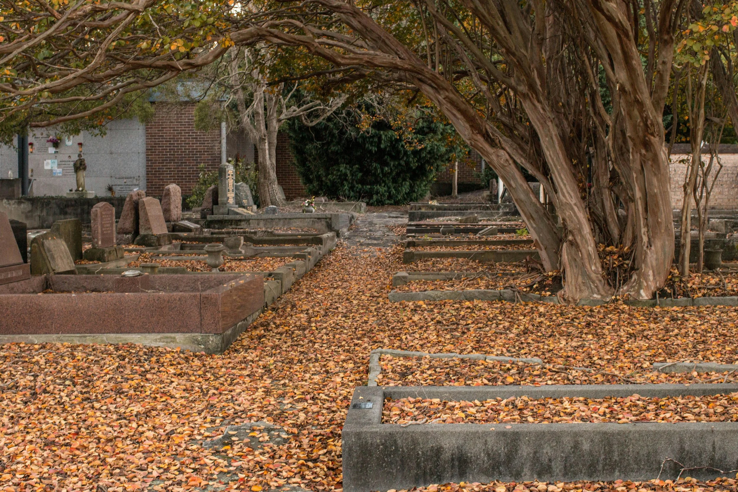 Spirit Walk
