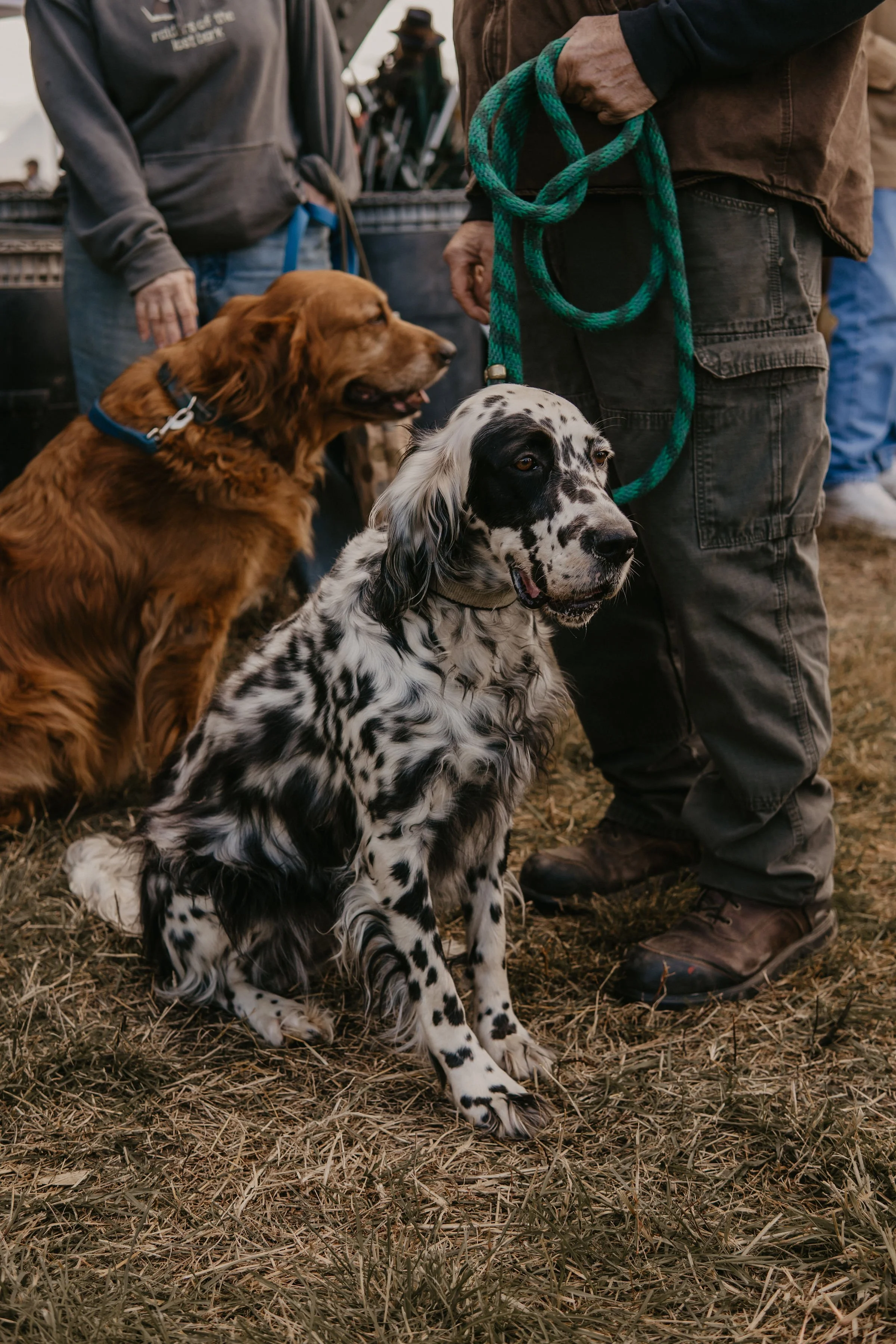 Genesee Valley Hunt Opening Meet