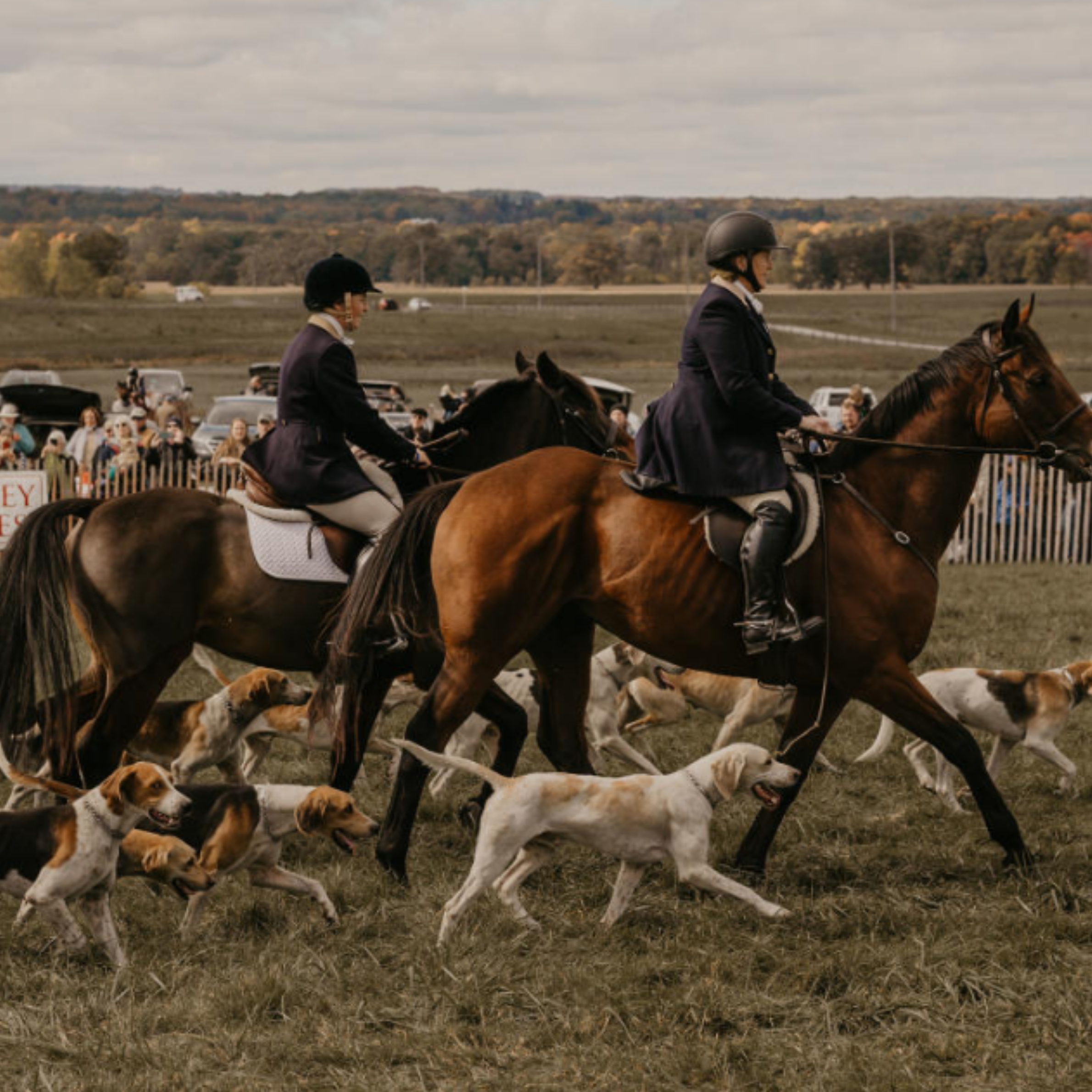 Genesee Valley Hunt Opening Meet