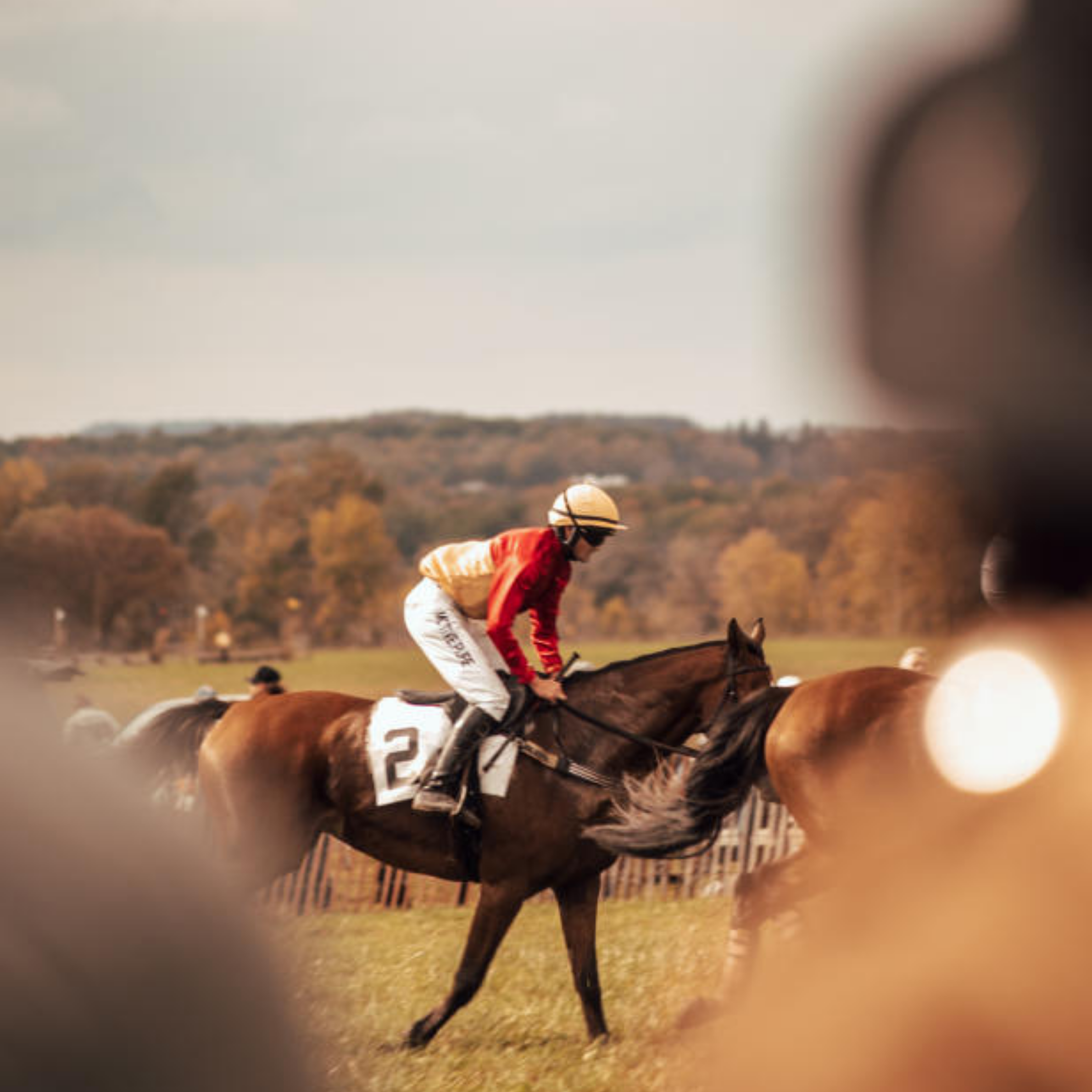 Genesee Valley Hunt Races