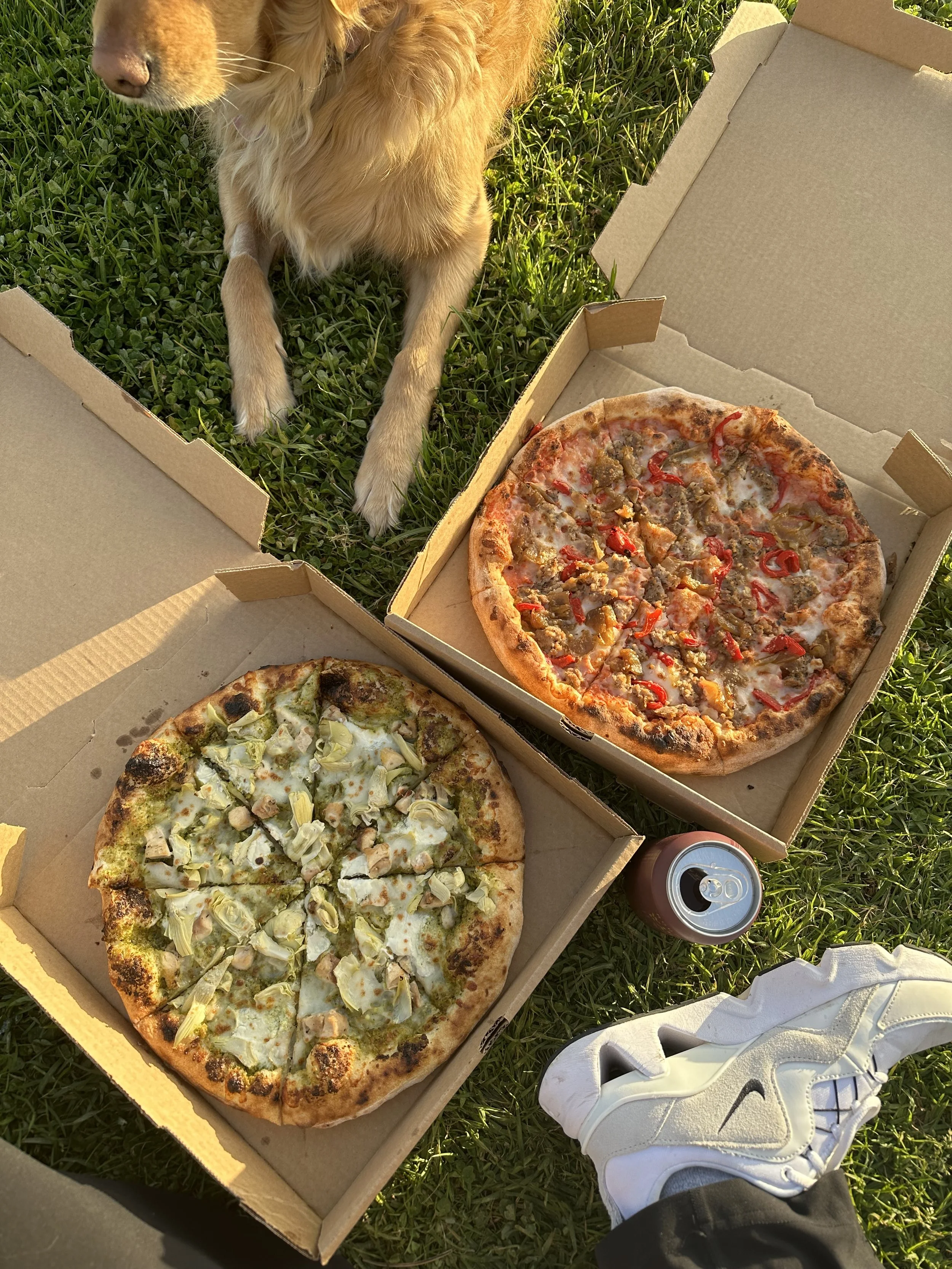 The Best Family-Friendly Restaurants in San Luis Obispo (That Your Dog Will Love Too)