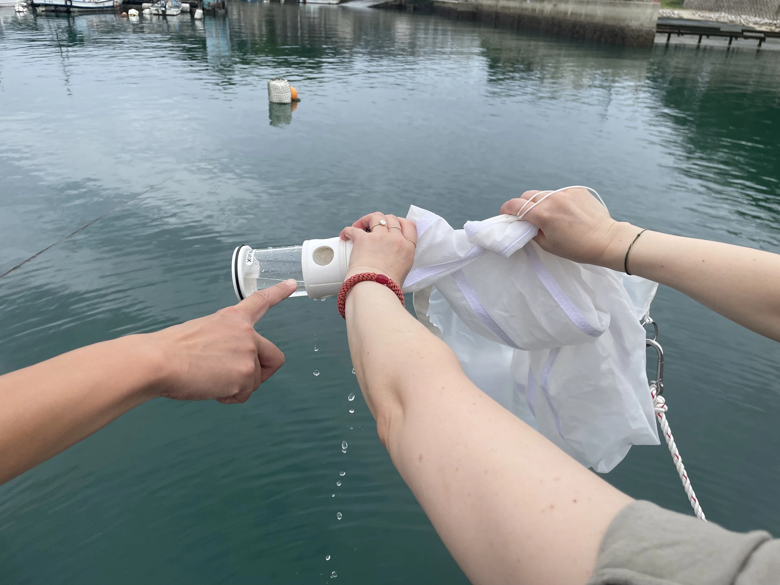 Plankton workshop in Naoshima