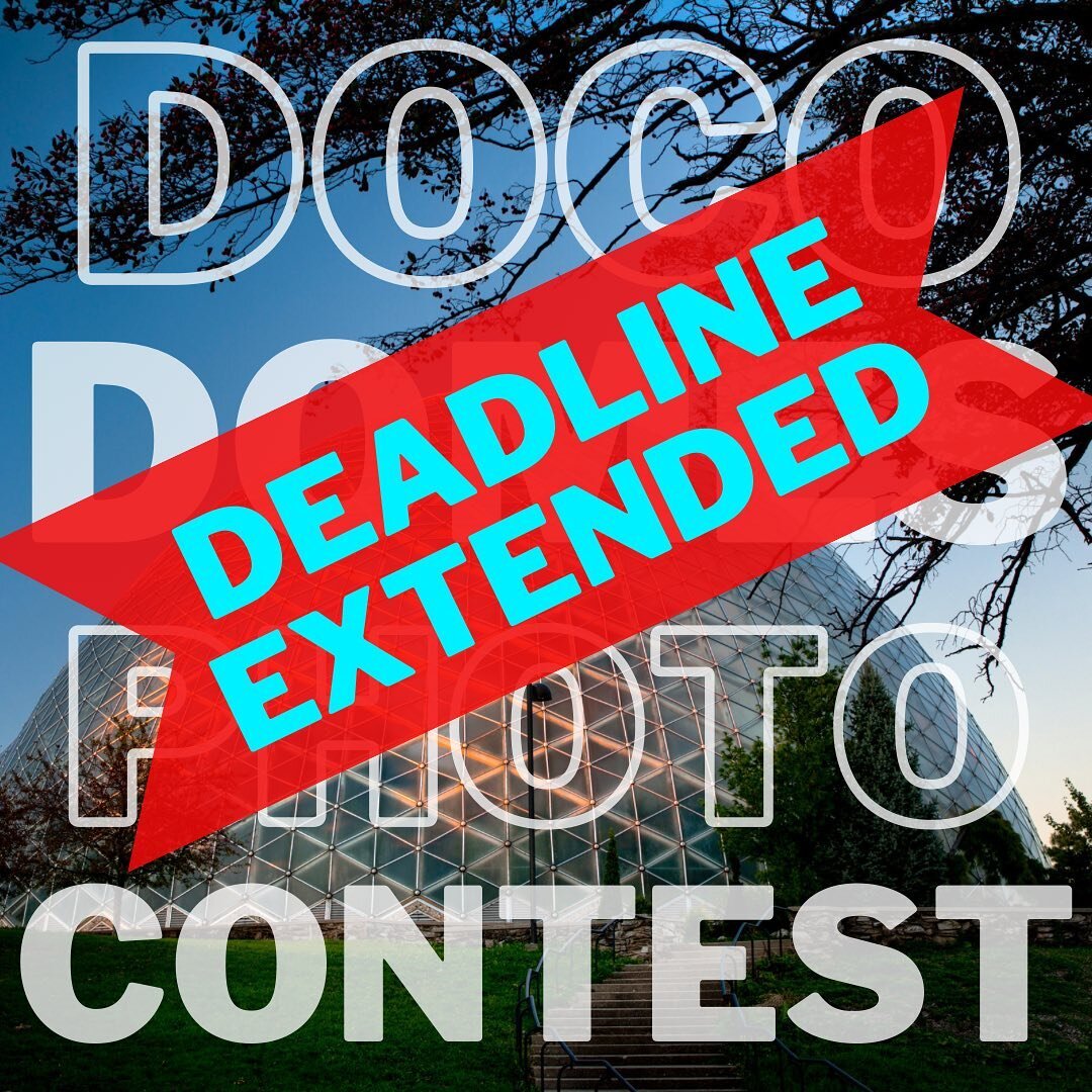 ‼️DEADLINE EXTENDED‼️

That&rsquo;s right folks, we&rsquo;ve extended the deadline to enter our #docodomesphotocontest to SEPTEMBER 30th!!!

This means you have about a week and a half to enter your favorite photo (film, digital, anything goes!) for 