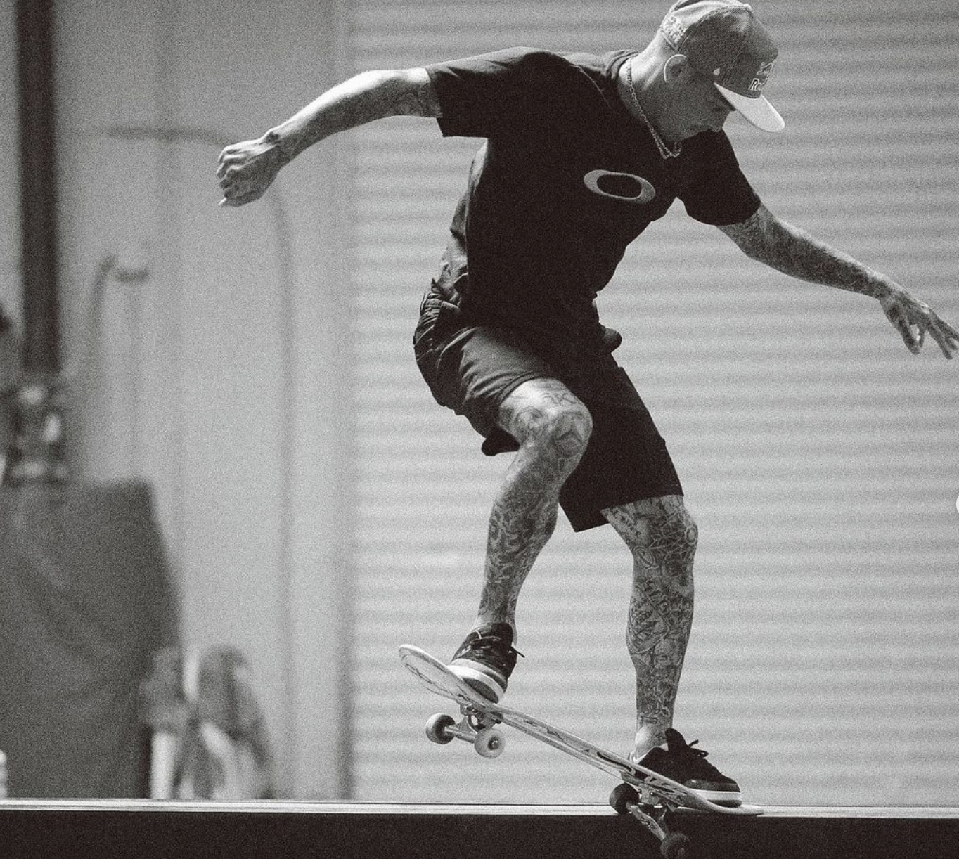 Ryan Sheckler - Professional Skateboarder