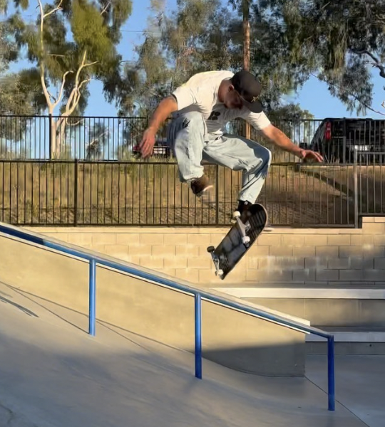 Chris Joslin - #1 Skateboarding in the World