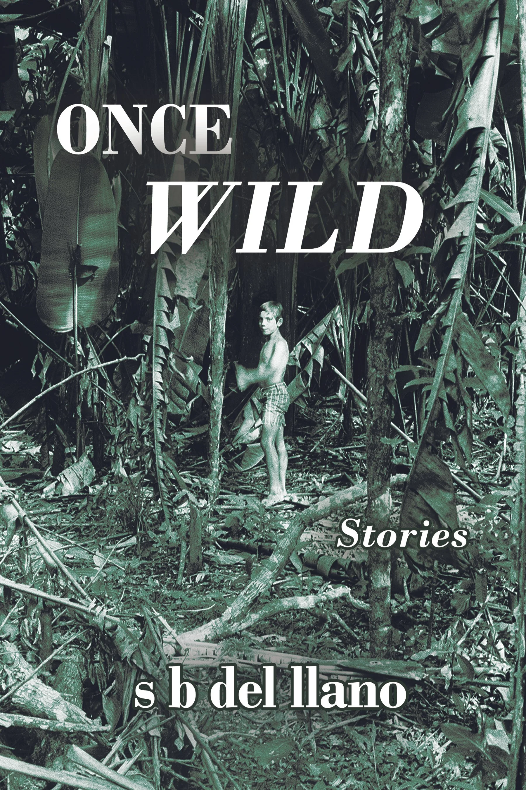 front cover large.jpg