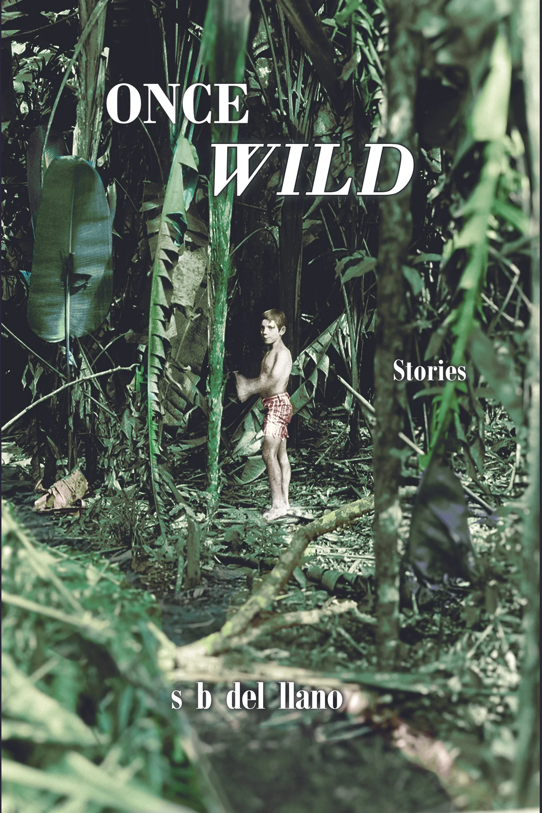Once Wild: Stories by s b del llano (Debut Literary Collection, pre-order)