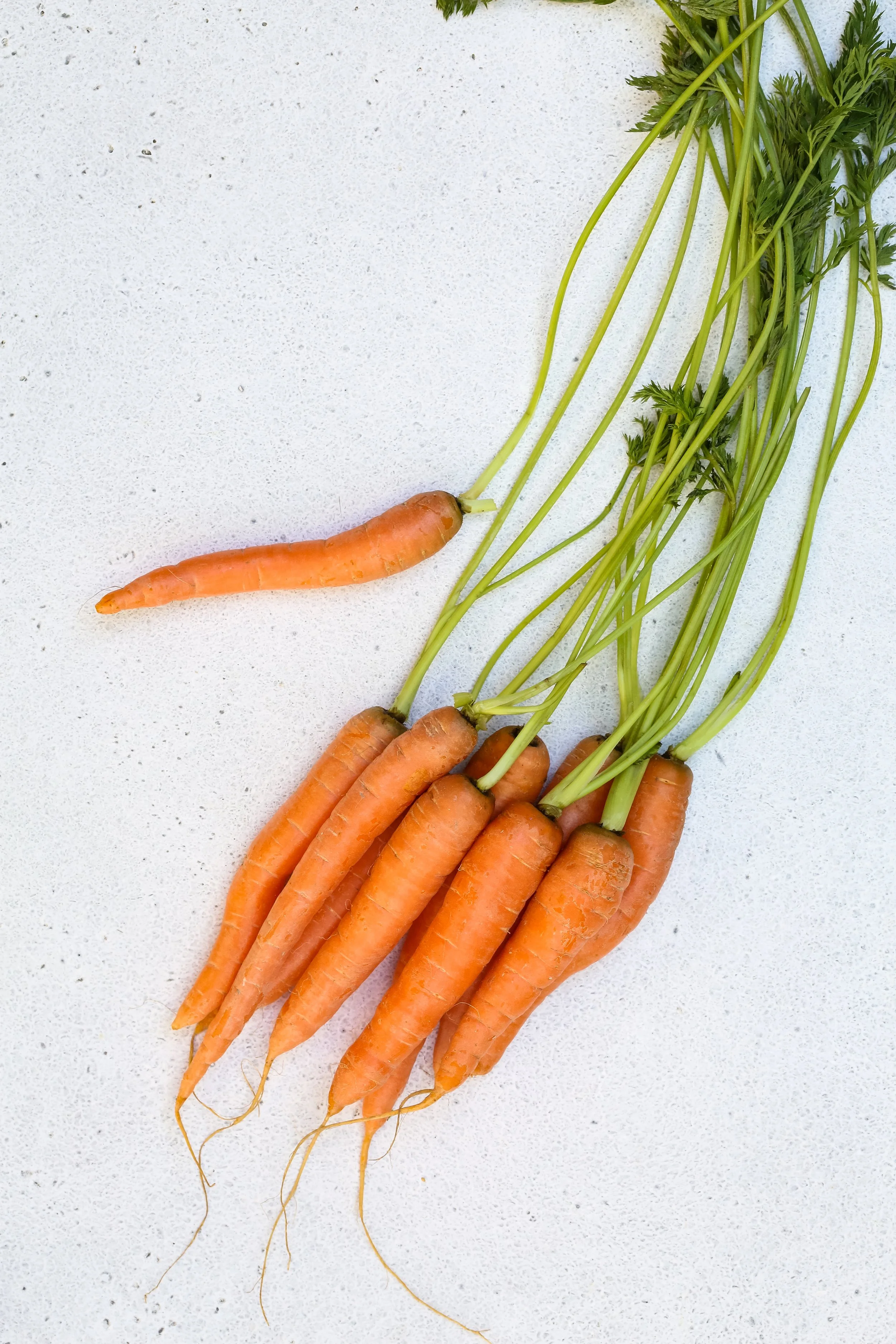babycarrots.jpg