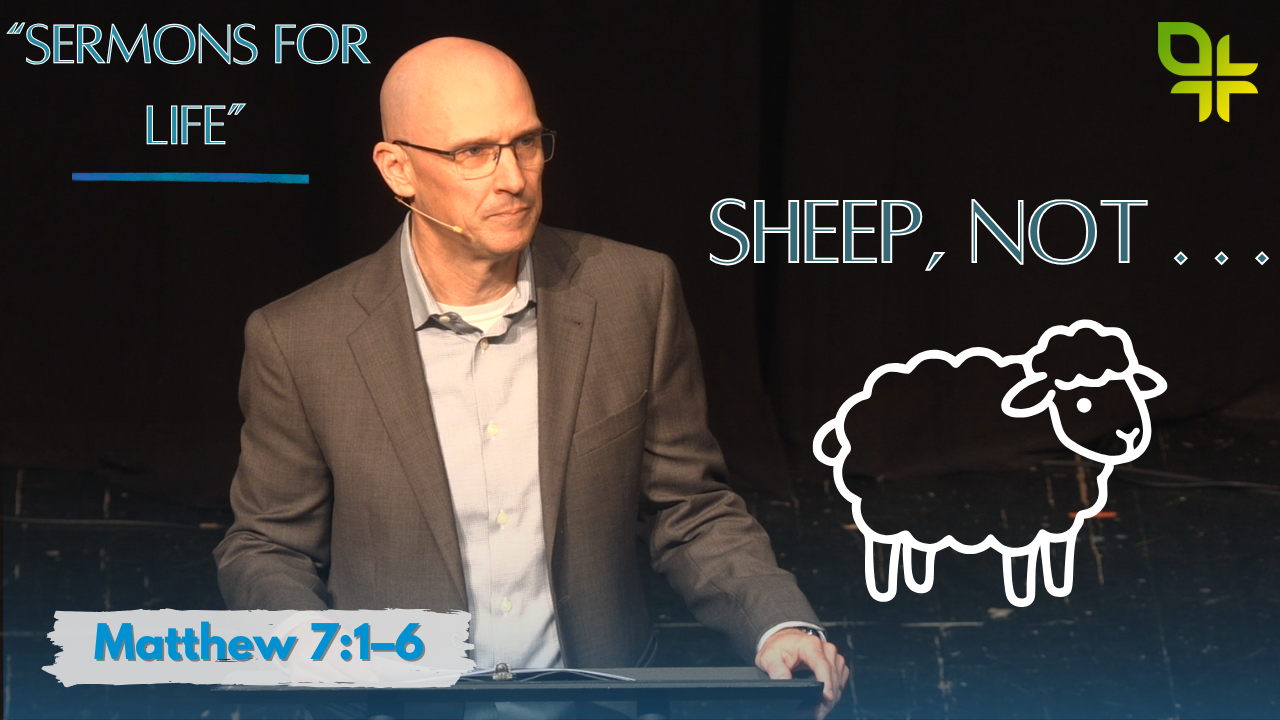 Sheep, Not…