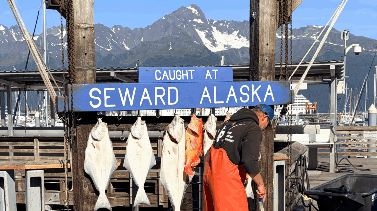 Clean Up, Driving, Fish, and Exit Glacier