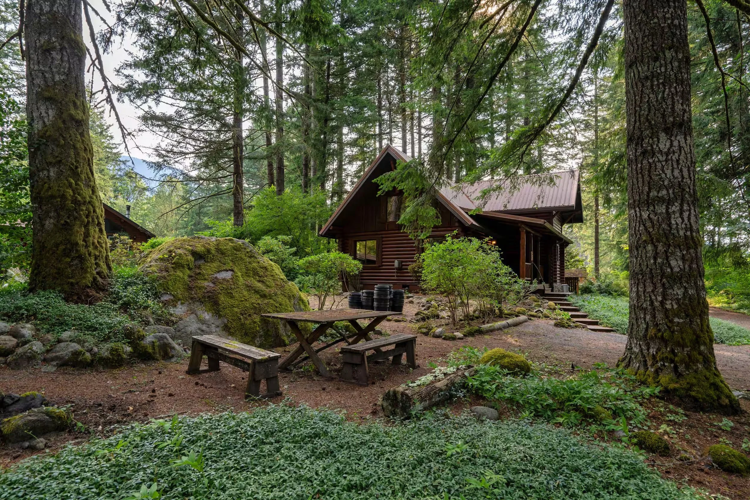 Property Grounds and Main Cabin