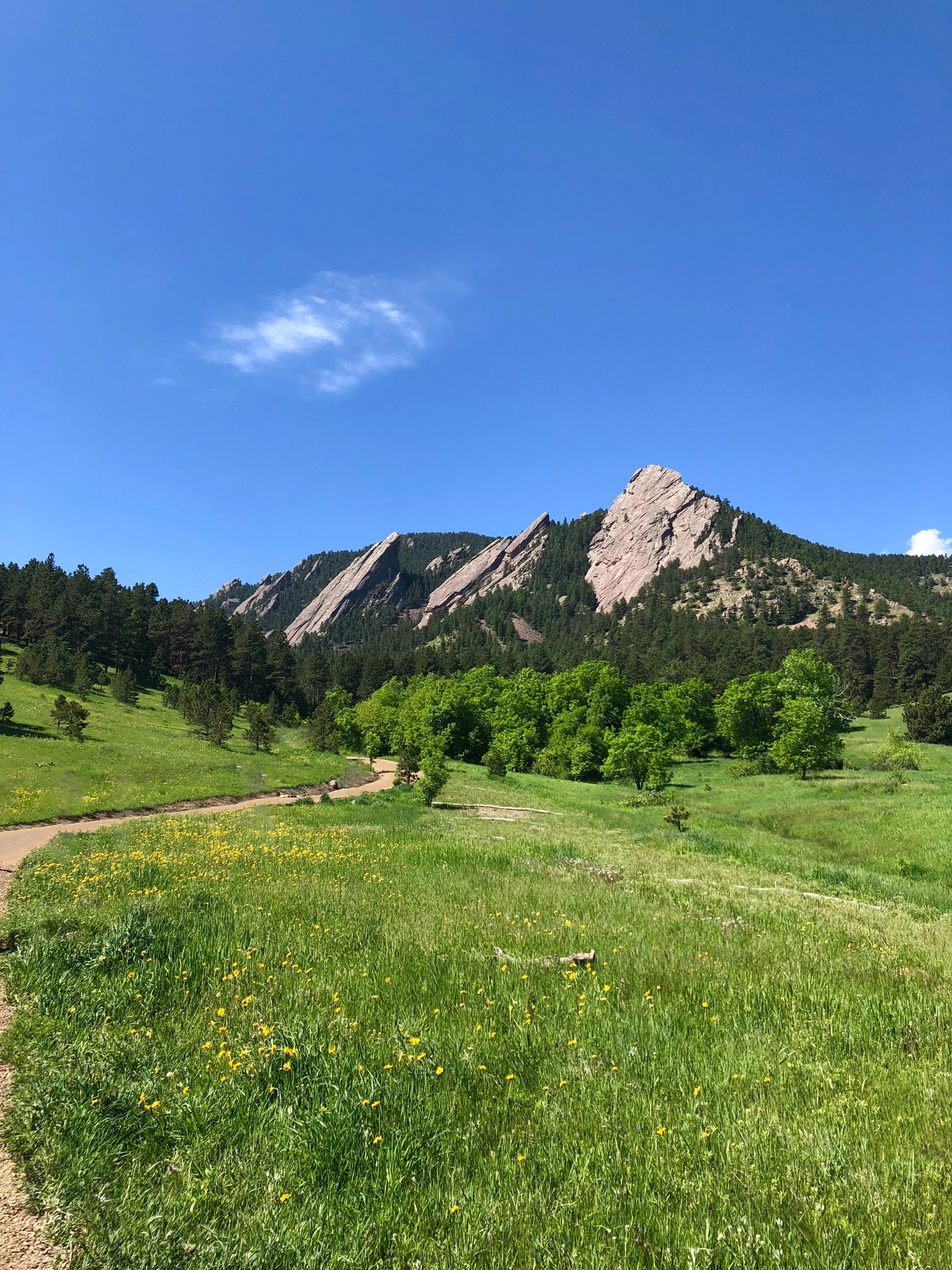 Boulder: the Ultimate Guide
