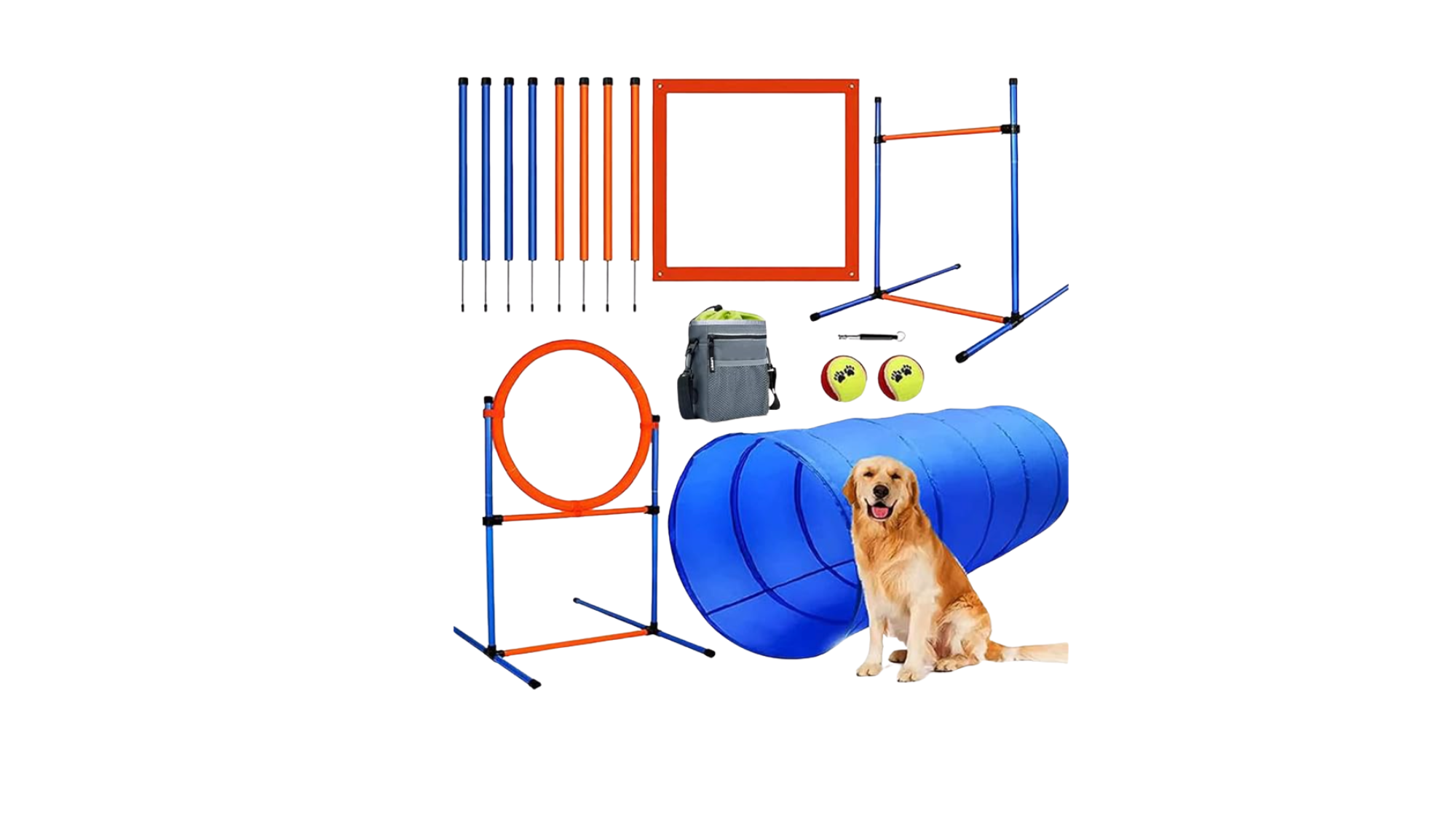 Dog Agility Training Equipment