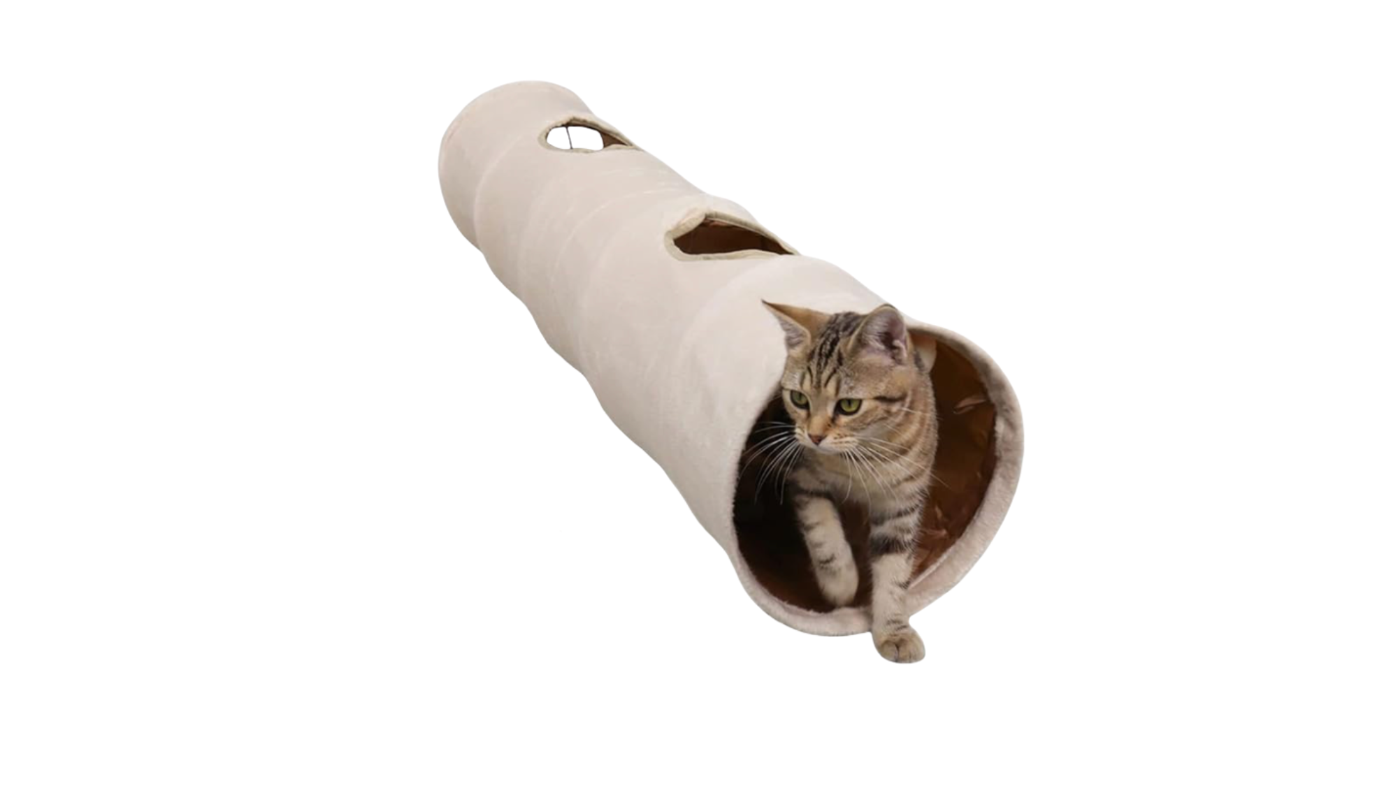 Collapsible Cat Tunnel
