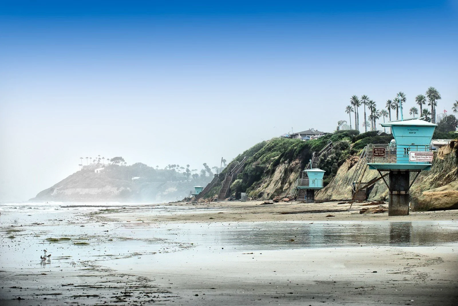 thumbnail_San Elijo Lifeguard Towers - color - Roy Kerckhoffs_.jpg