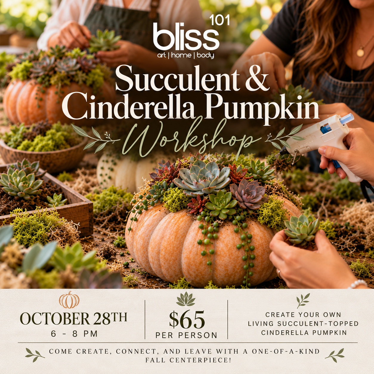 🎃🌿 Succulent & Cinderella Pumpkin Workshop 🌿🎃