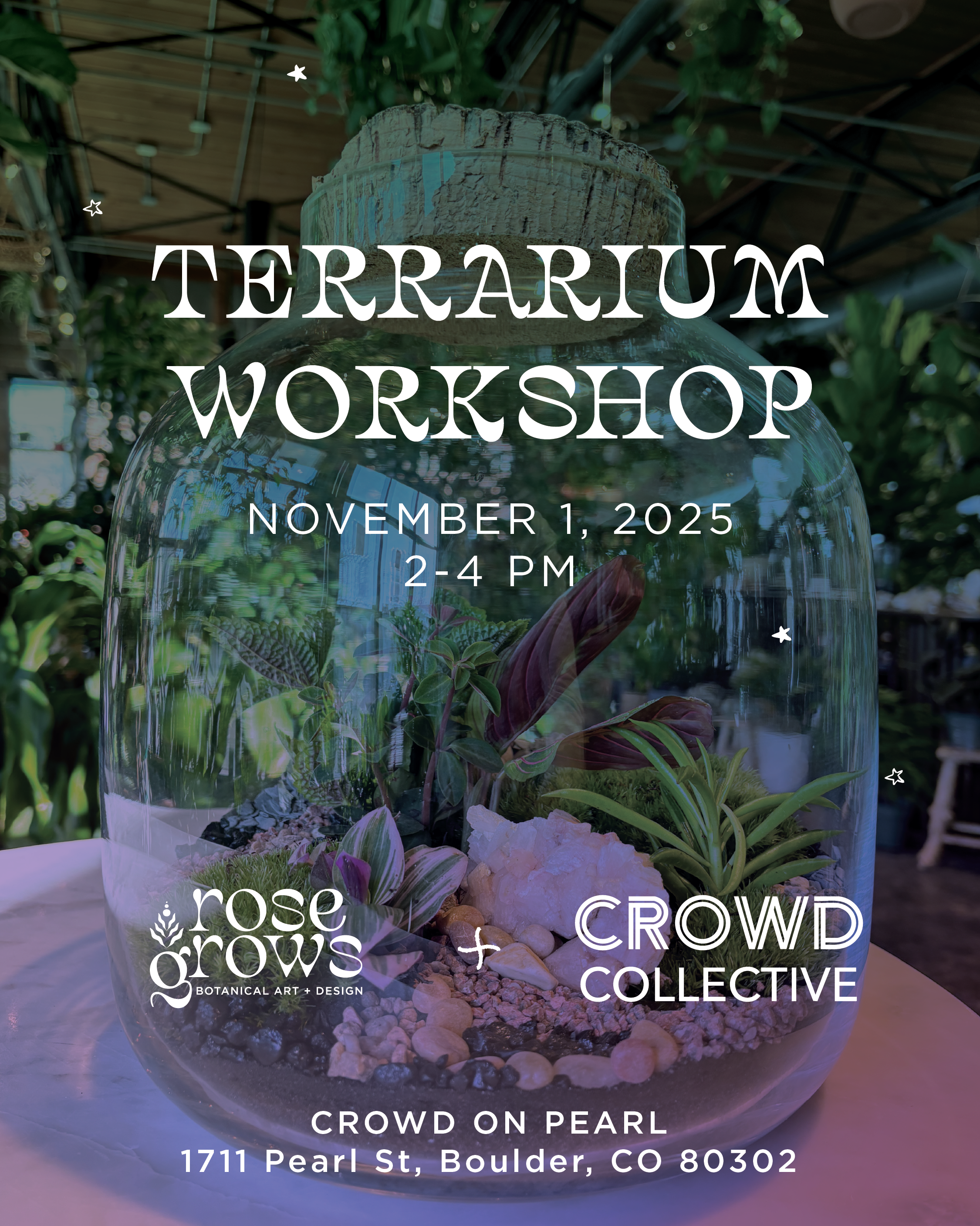 Terrarium Workshop with Rose Grows