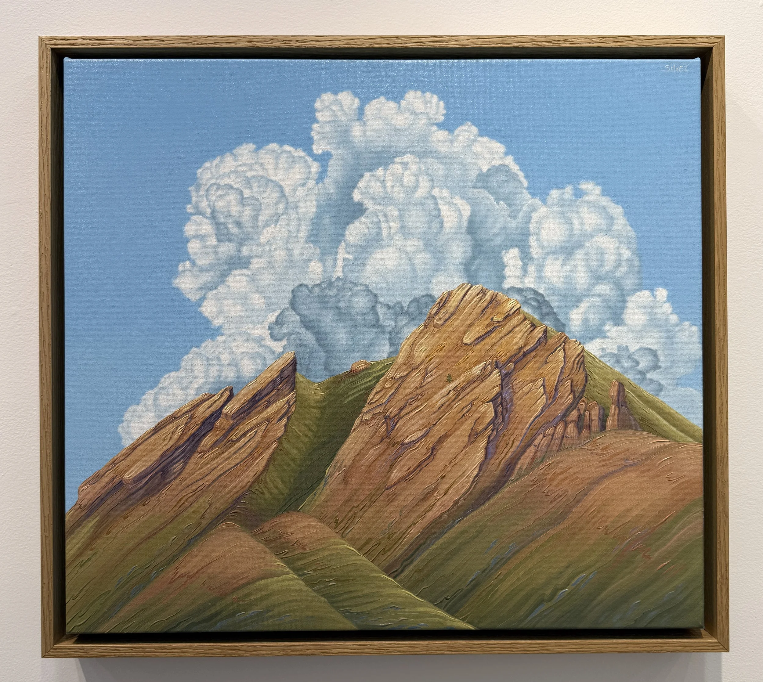 "In the Clouds" by Silver Francis