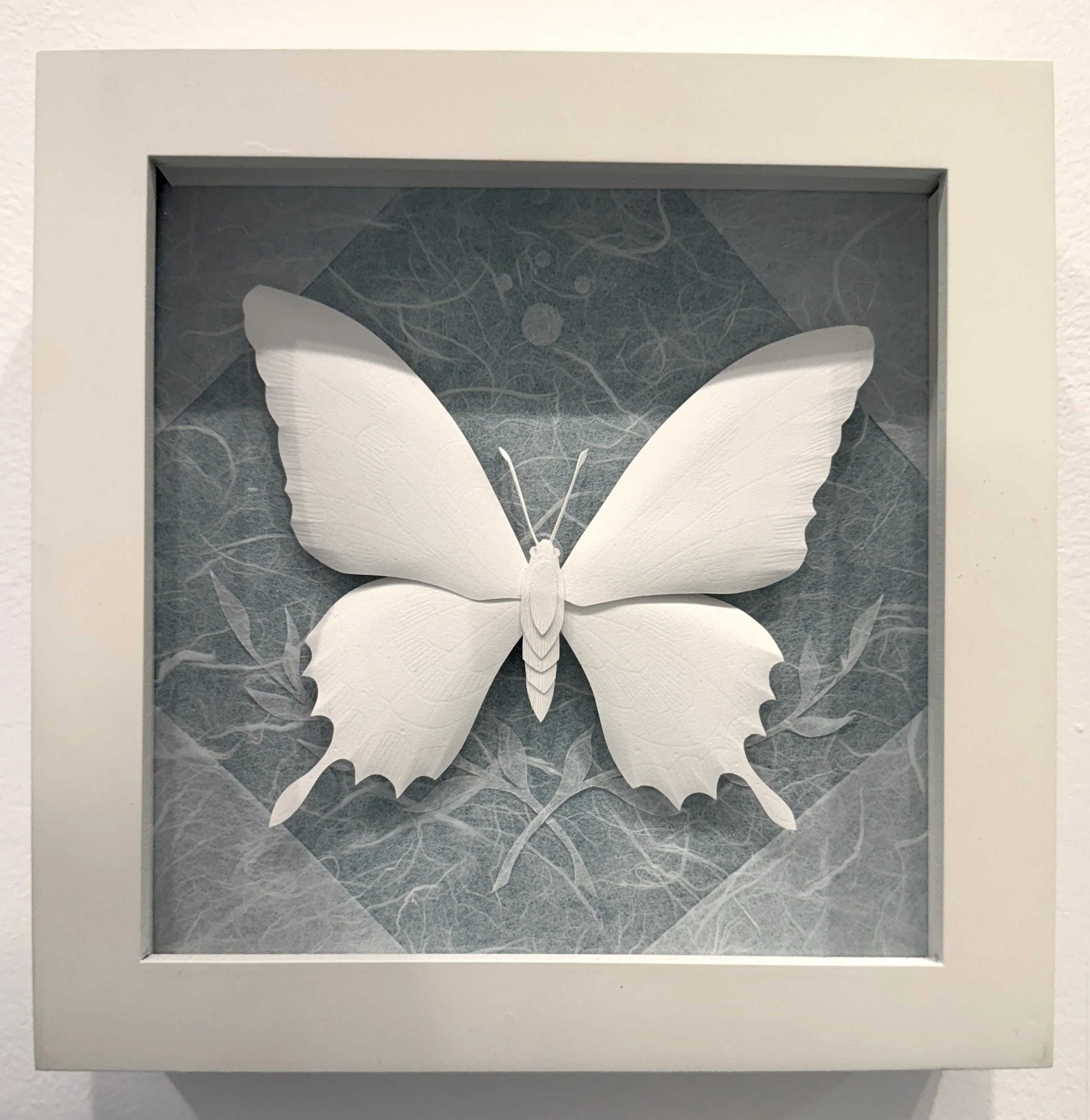 Lepidoptera 1