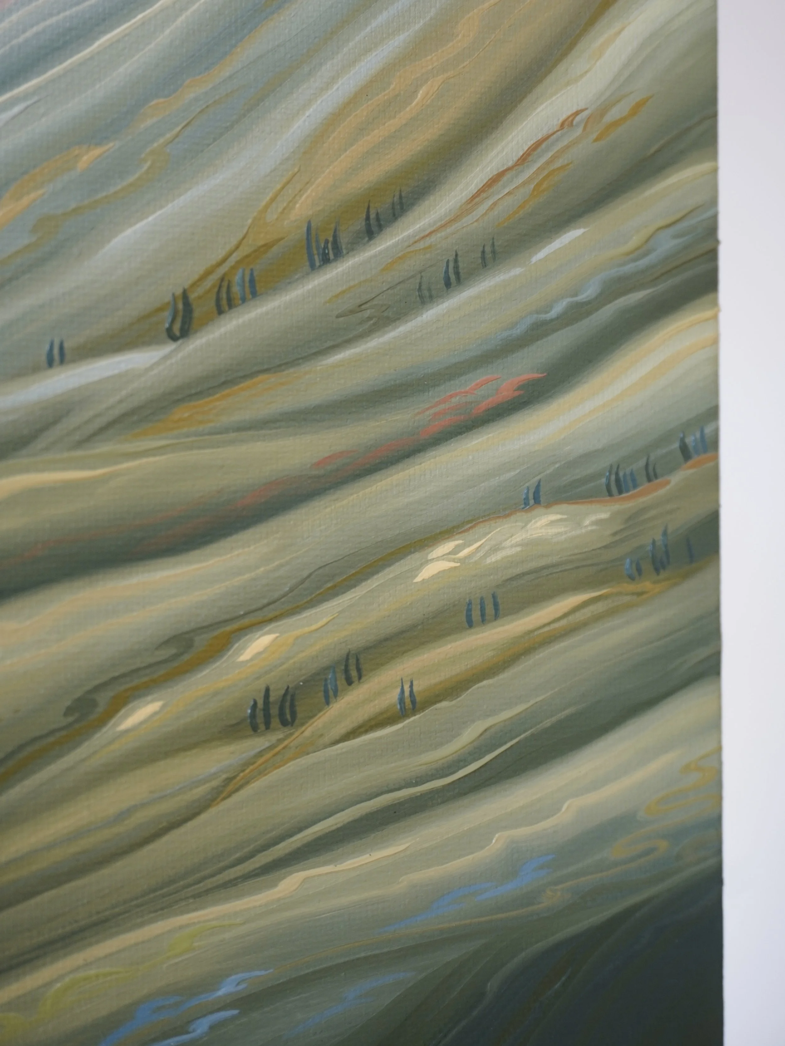 Nature_s Palette 4.jpg