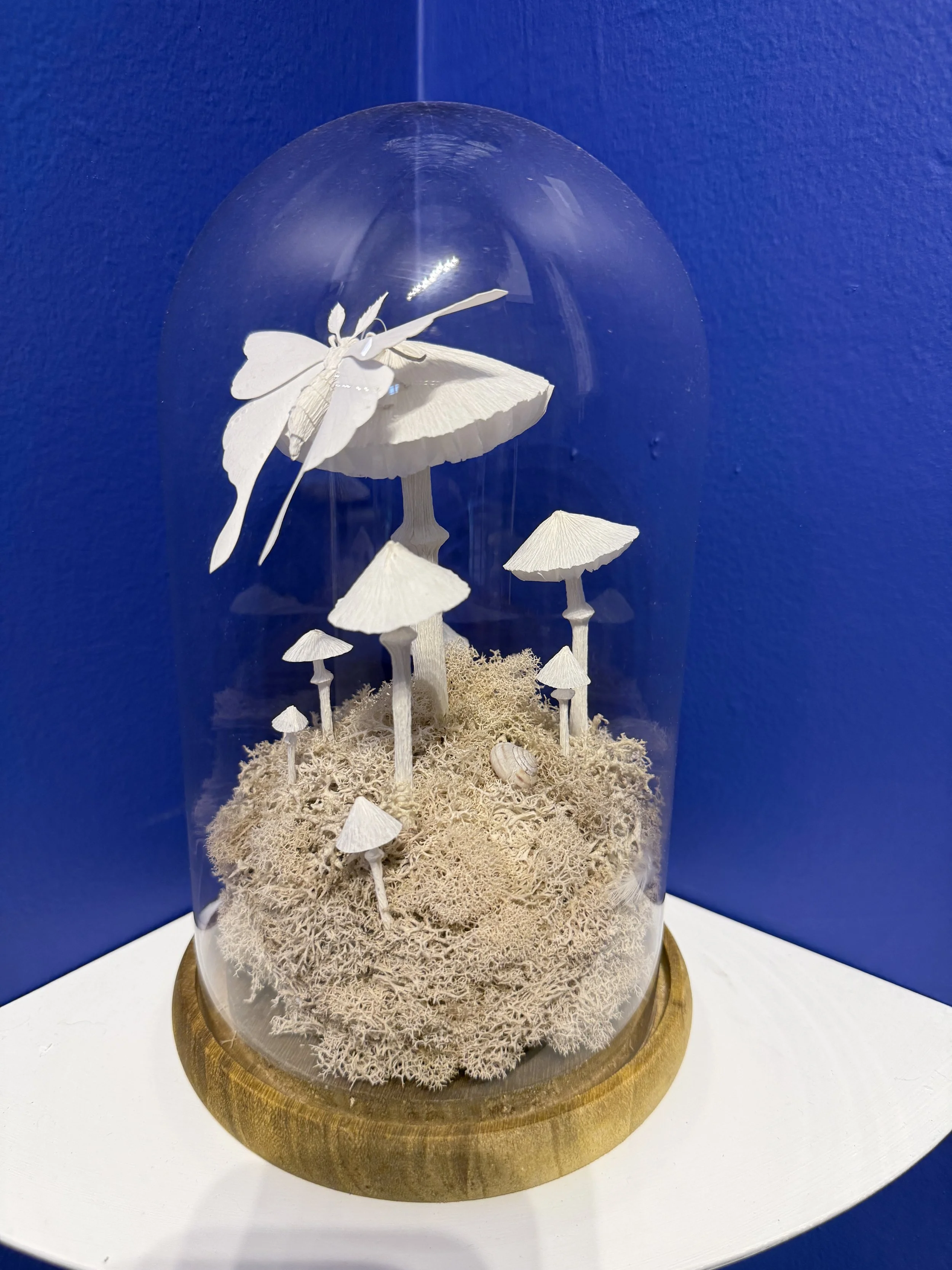 Hyphae