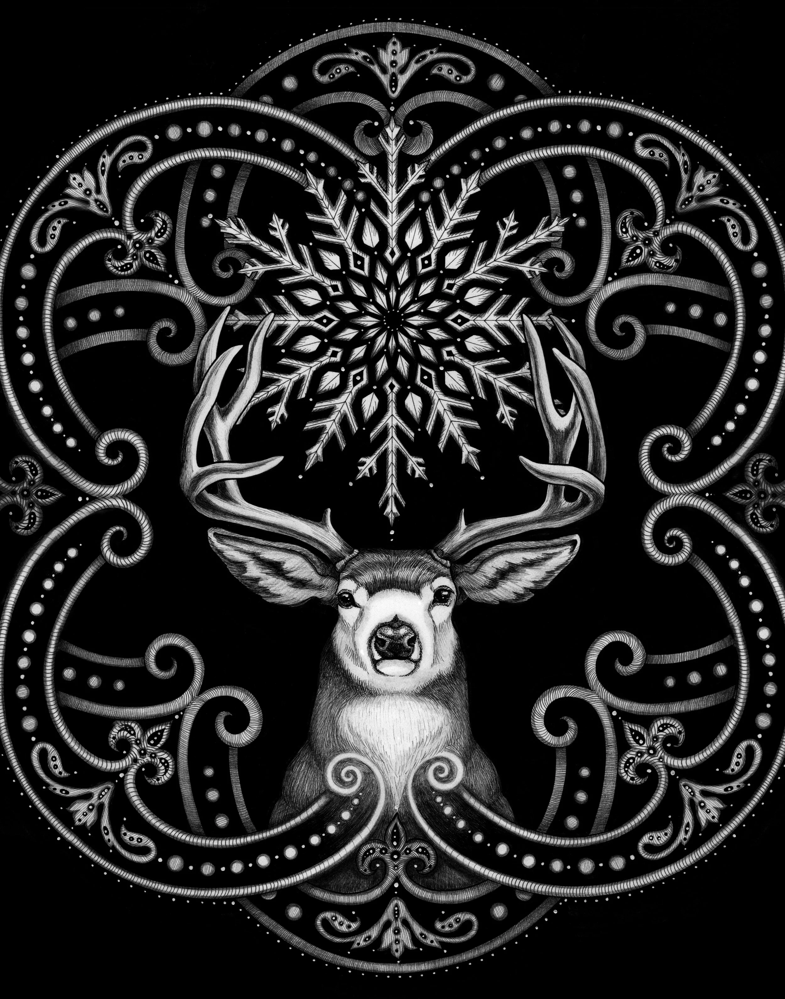 Solstice