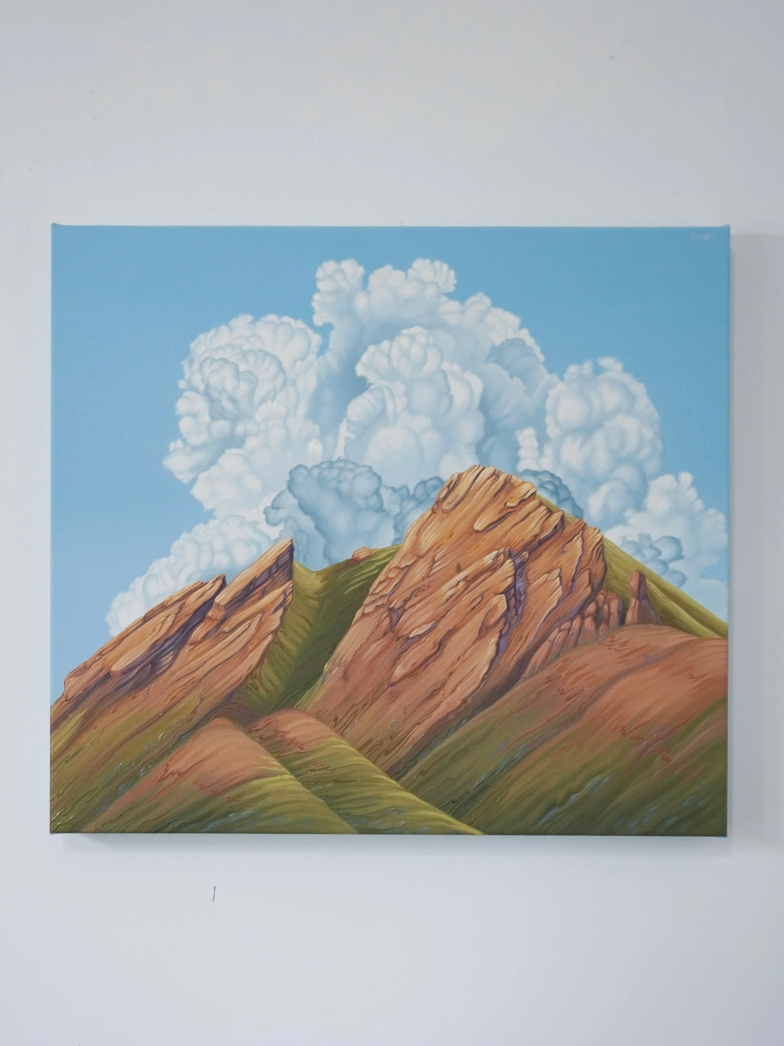 In the Clouds 1.jpg