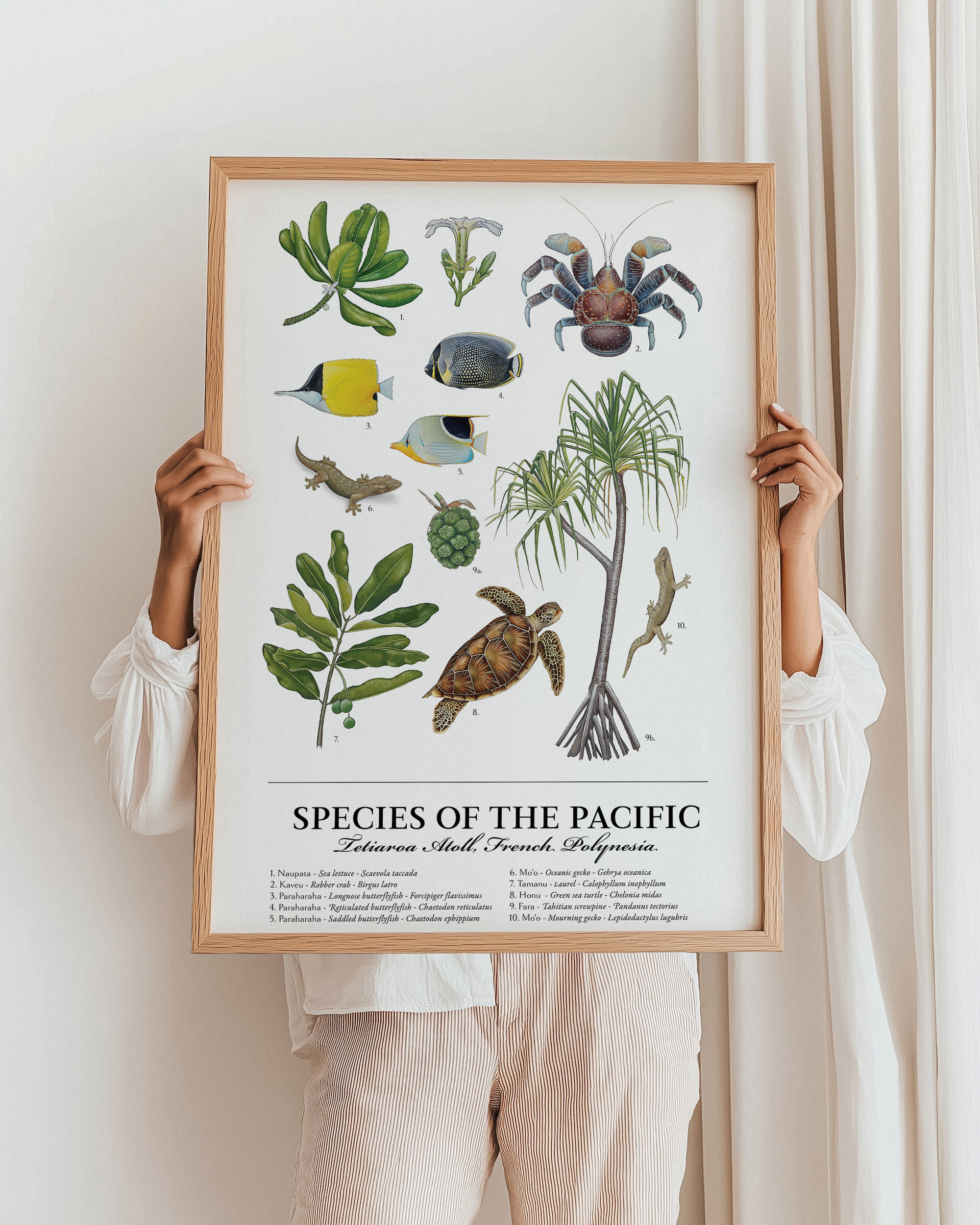 Species of Pacific Vertical_woman holding frame.png