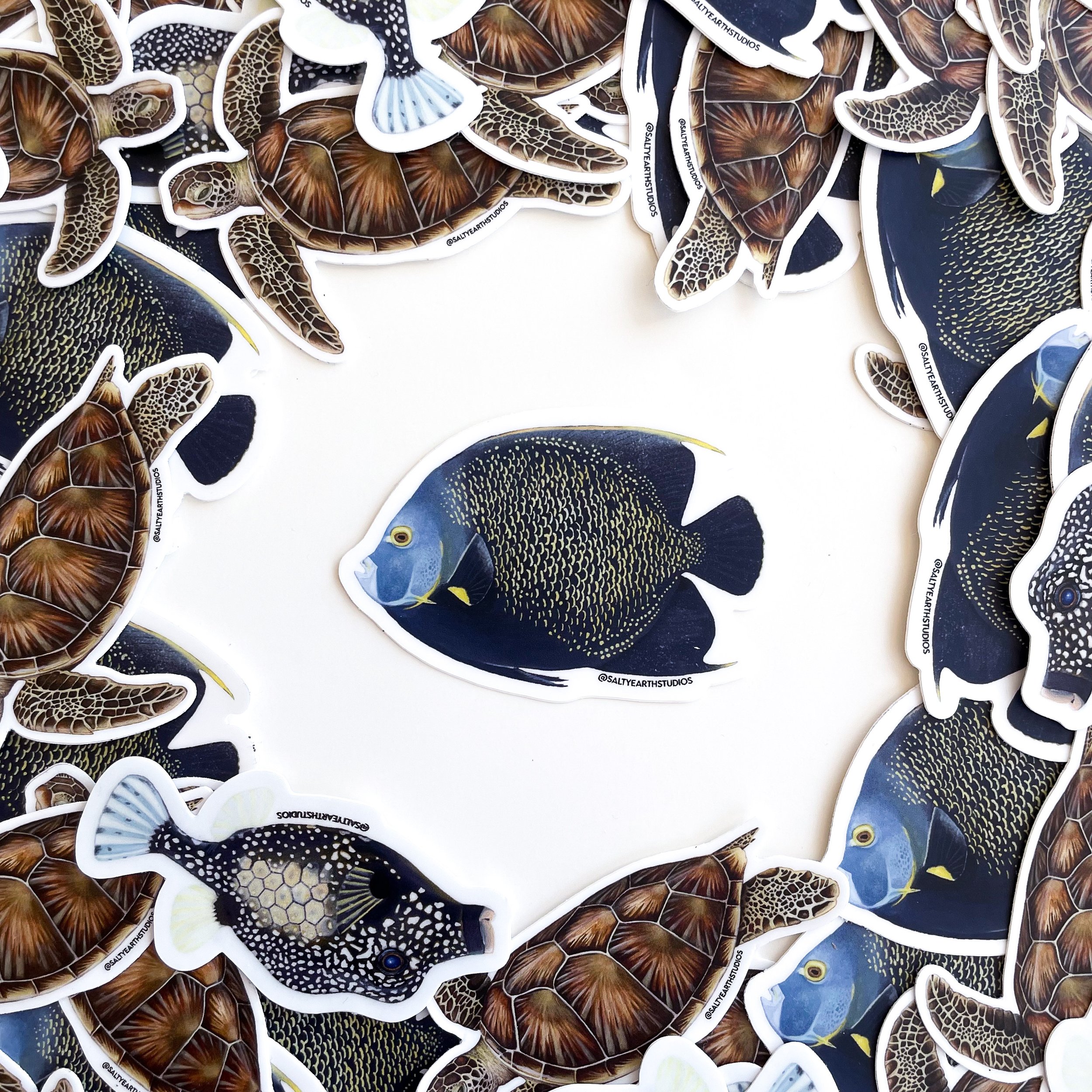 French Angelfish Sticker