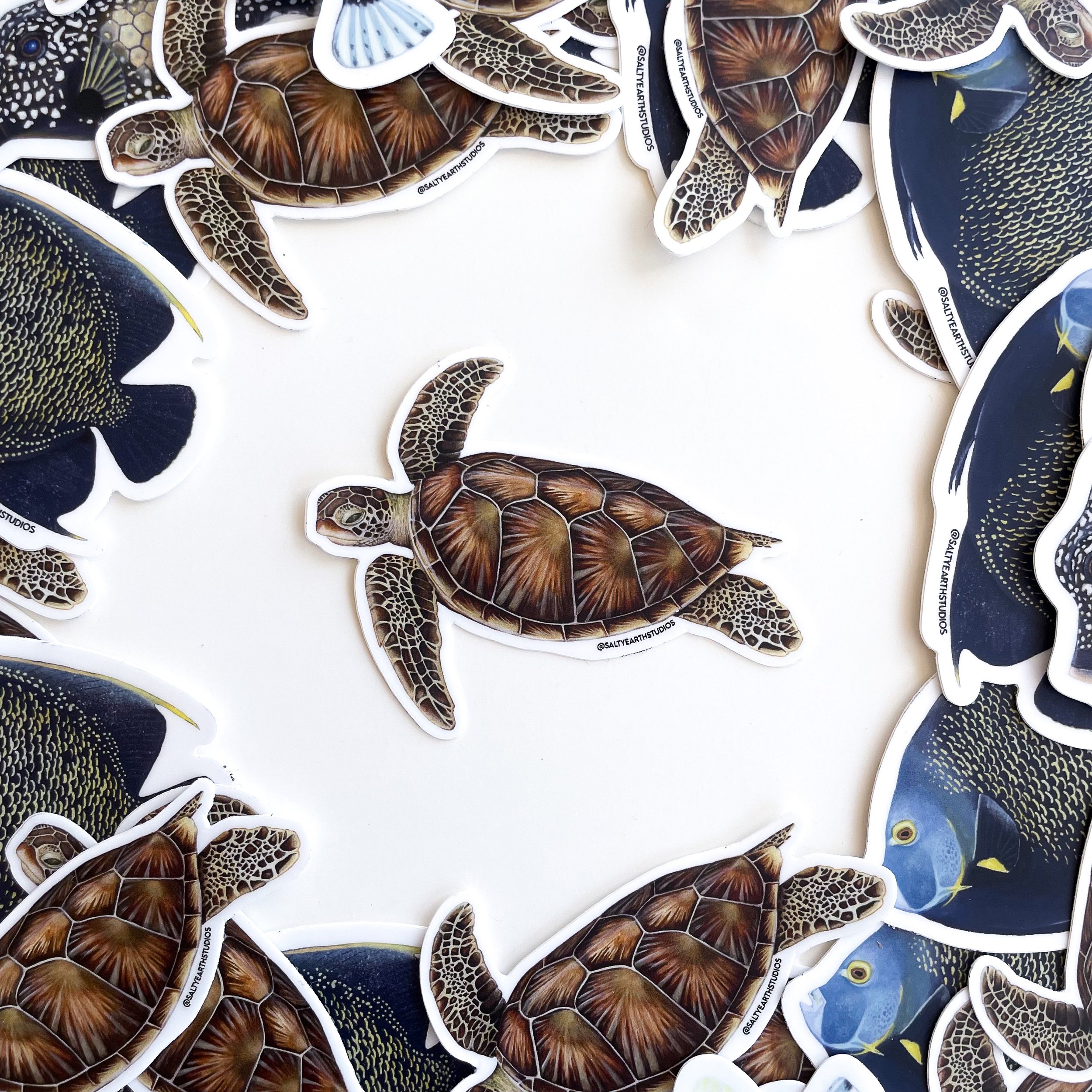 Green Sea Turtle Sticker
