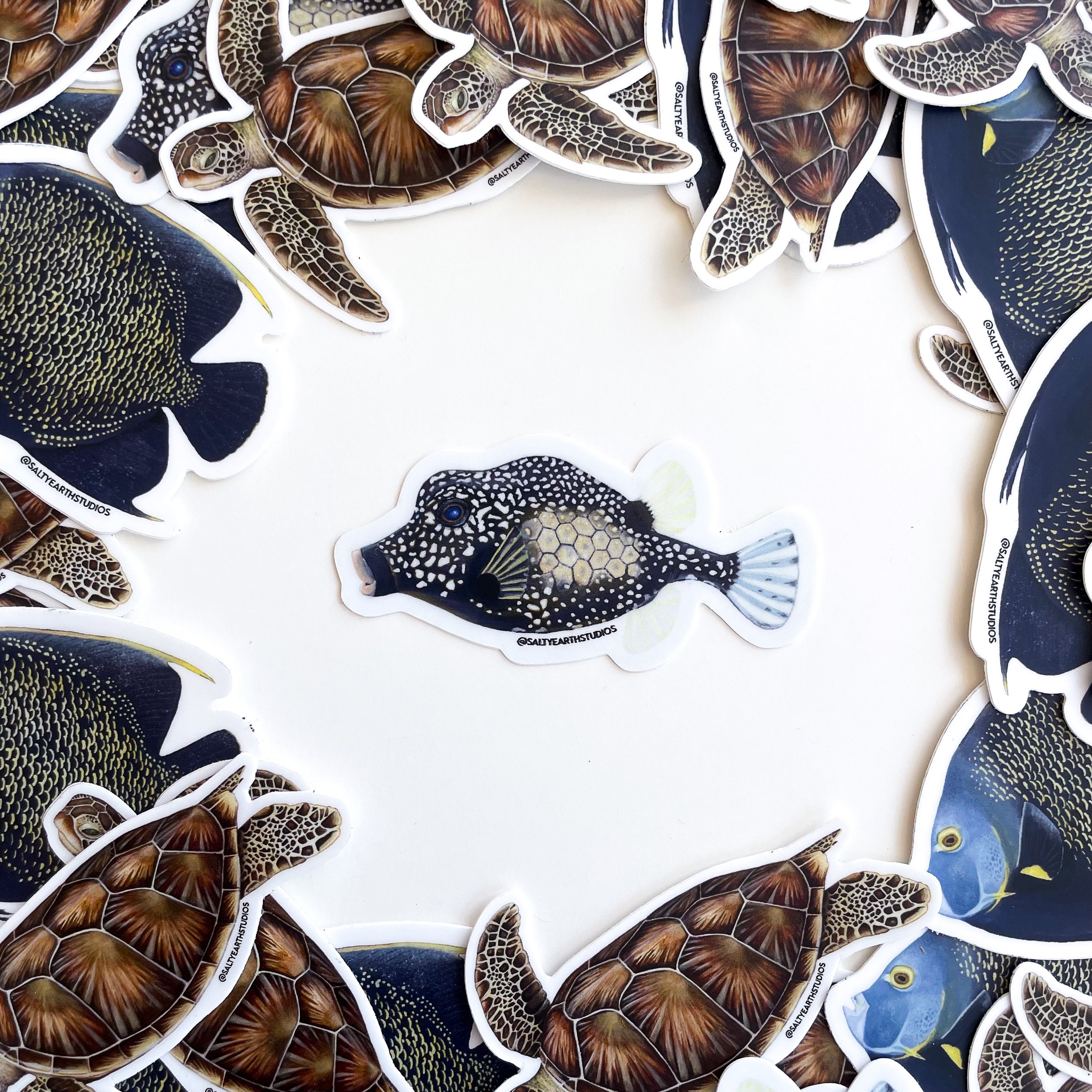 Smooth Trunkfish Stickers