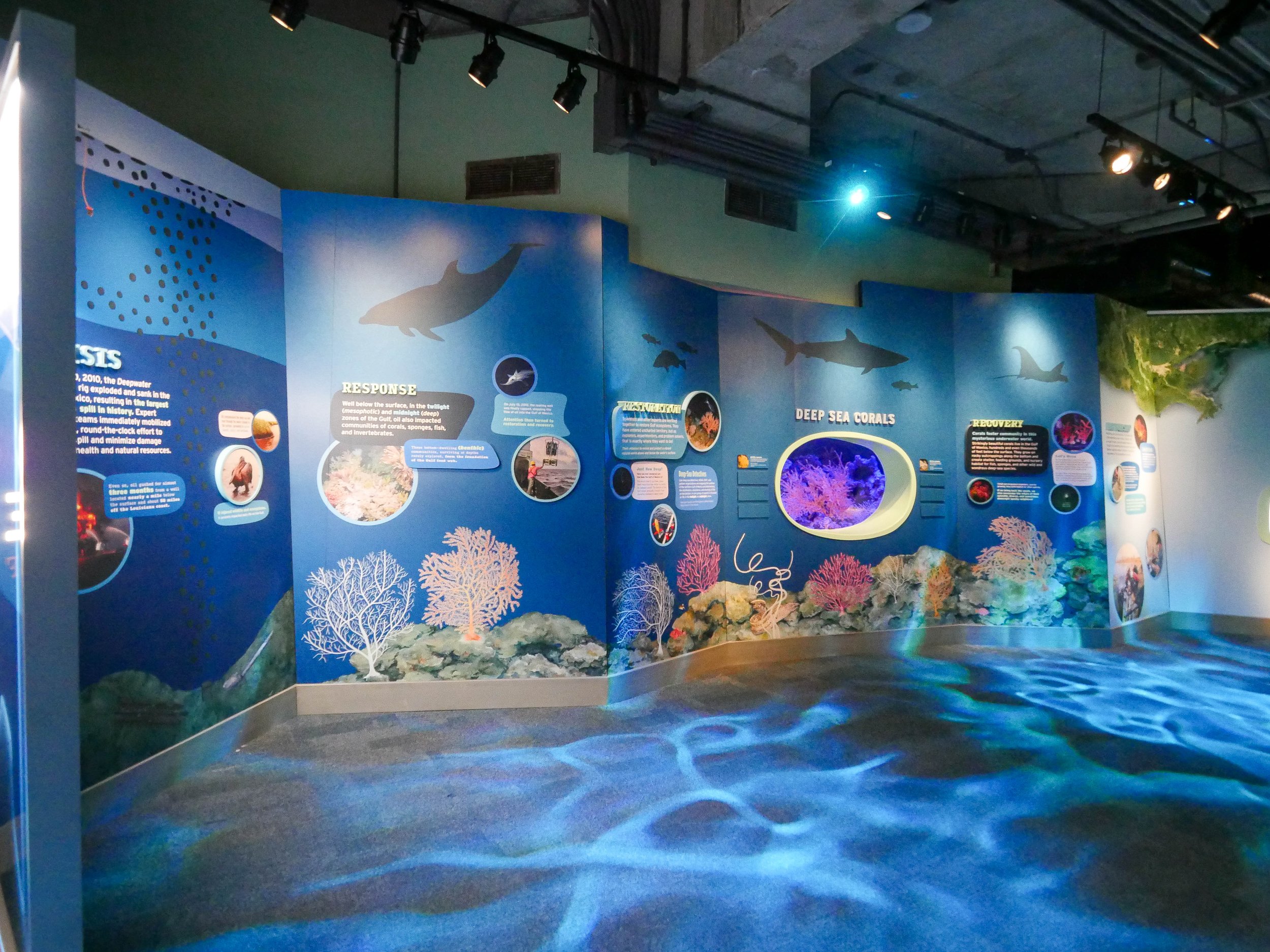 Coral Exhibit 10.4.24-4.jpg