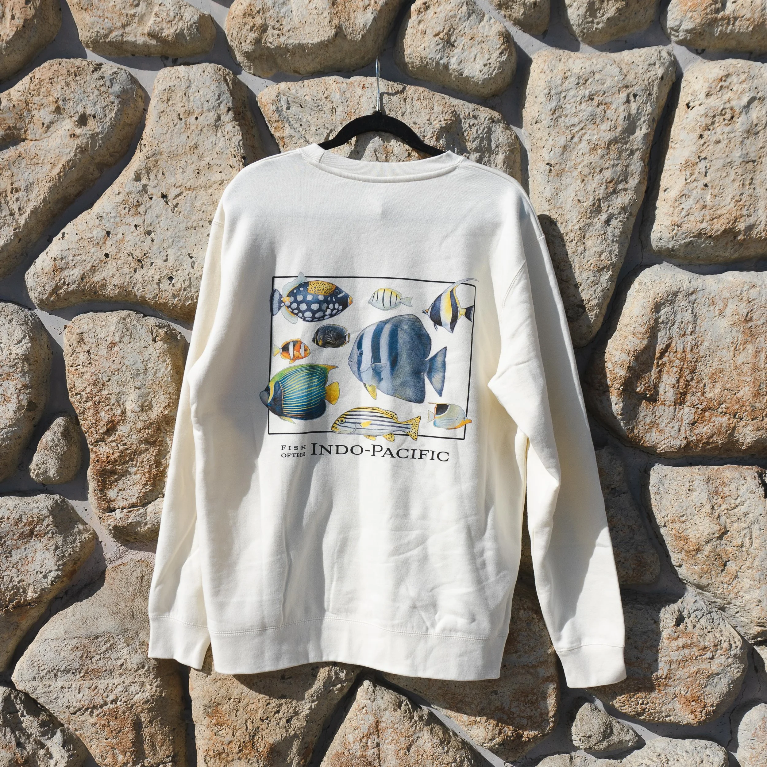 New fish crew neck, tee, and hoodie are all available in the salty earth shop now!✨ www.saltyearthstudios.com/shop | snag one while they&rsquo;re available