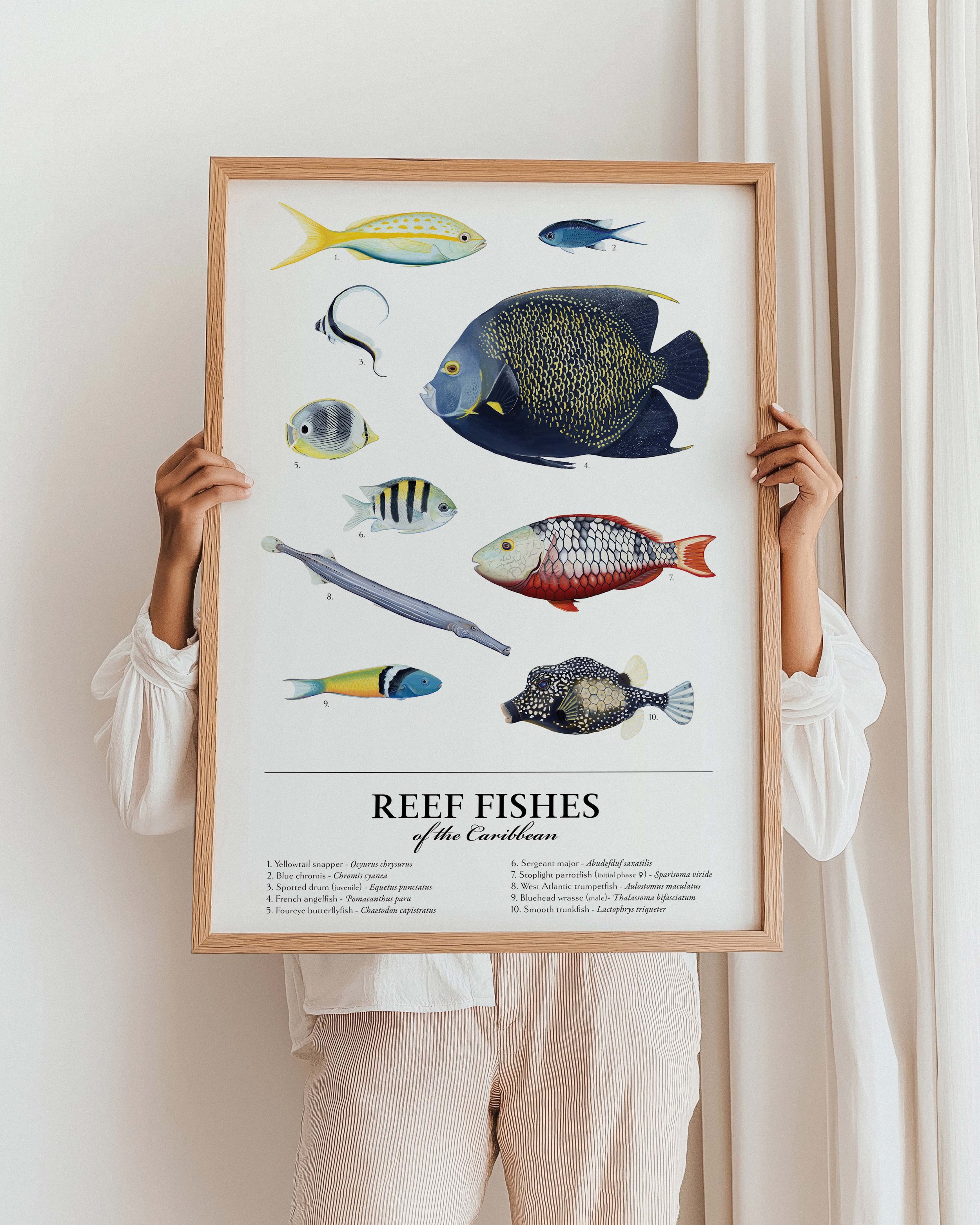HoldingFrame_ReefFishes_Mockup.jpg