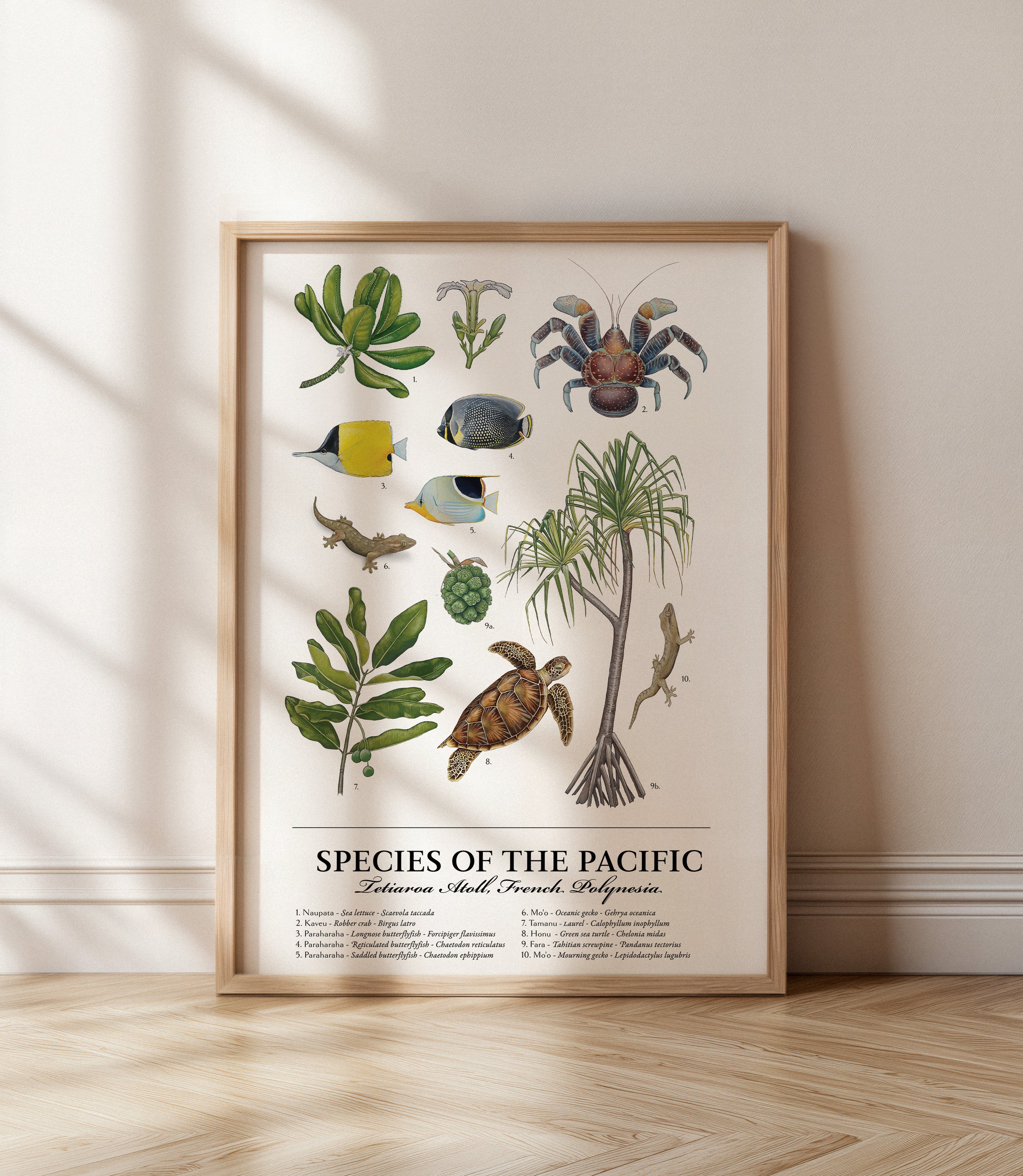 Species of the Pacific Print