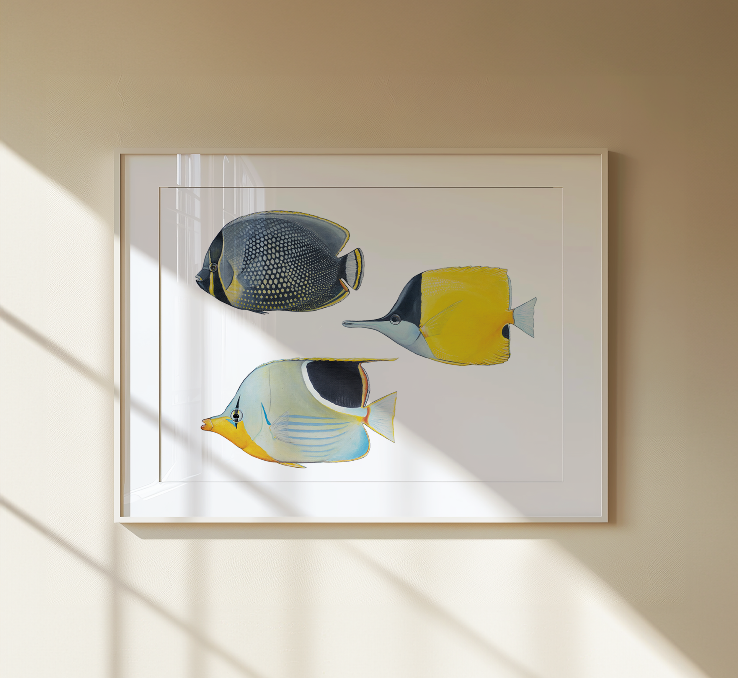 Paraharaha Print - Butterflyfishes