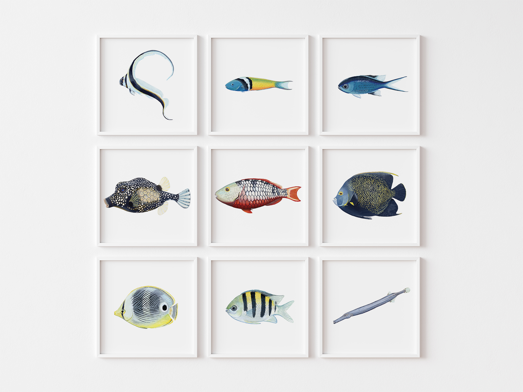 Parrotfish Wall Mockup Square.png