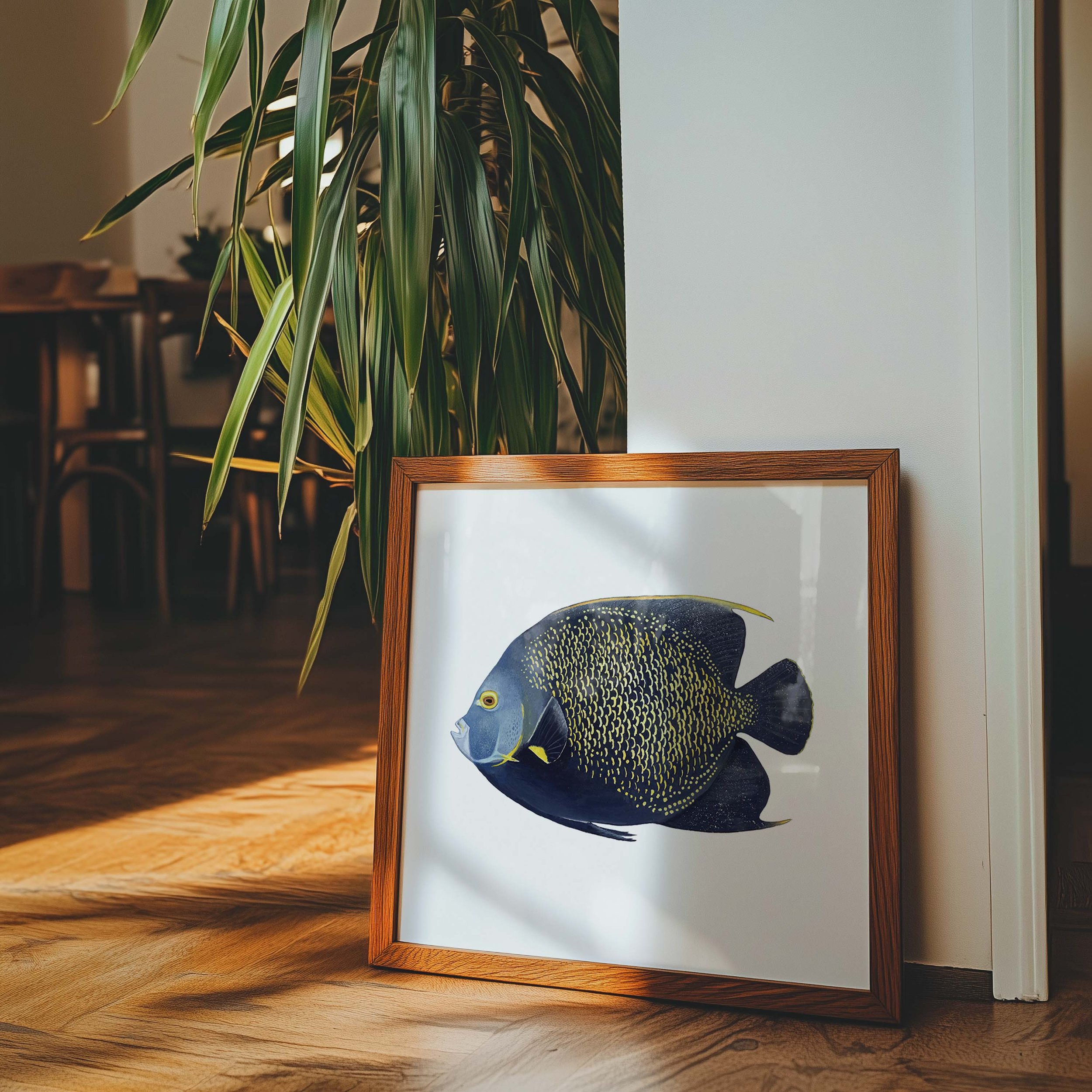 French Angelfish Print