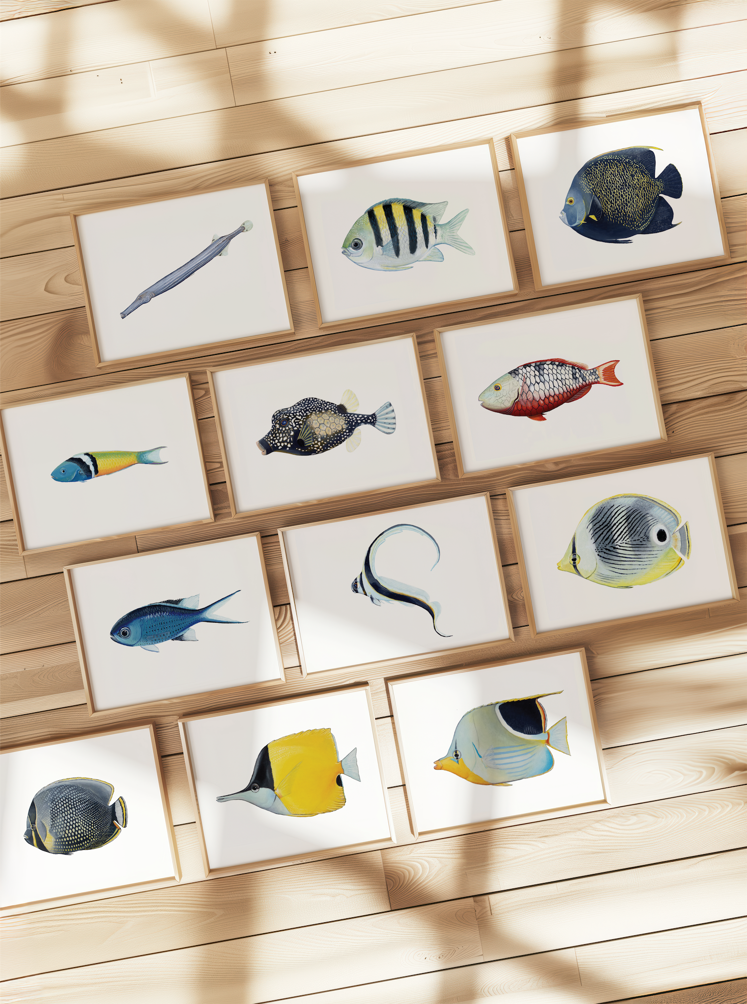 All Fish Horizontal frames 12 on wood floor SMALL.png