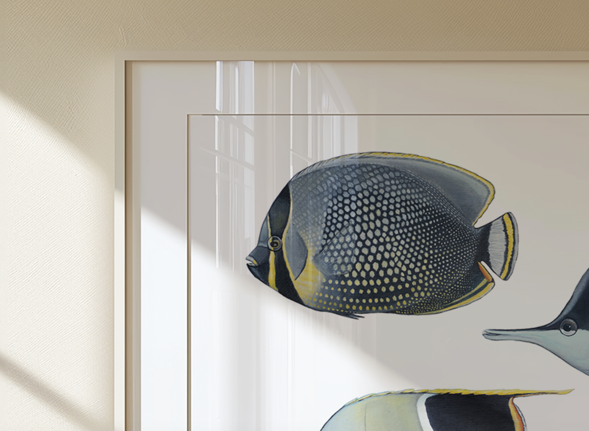 butterflyfishes closeup mockup.png