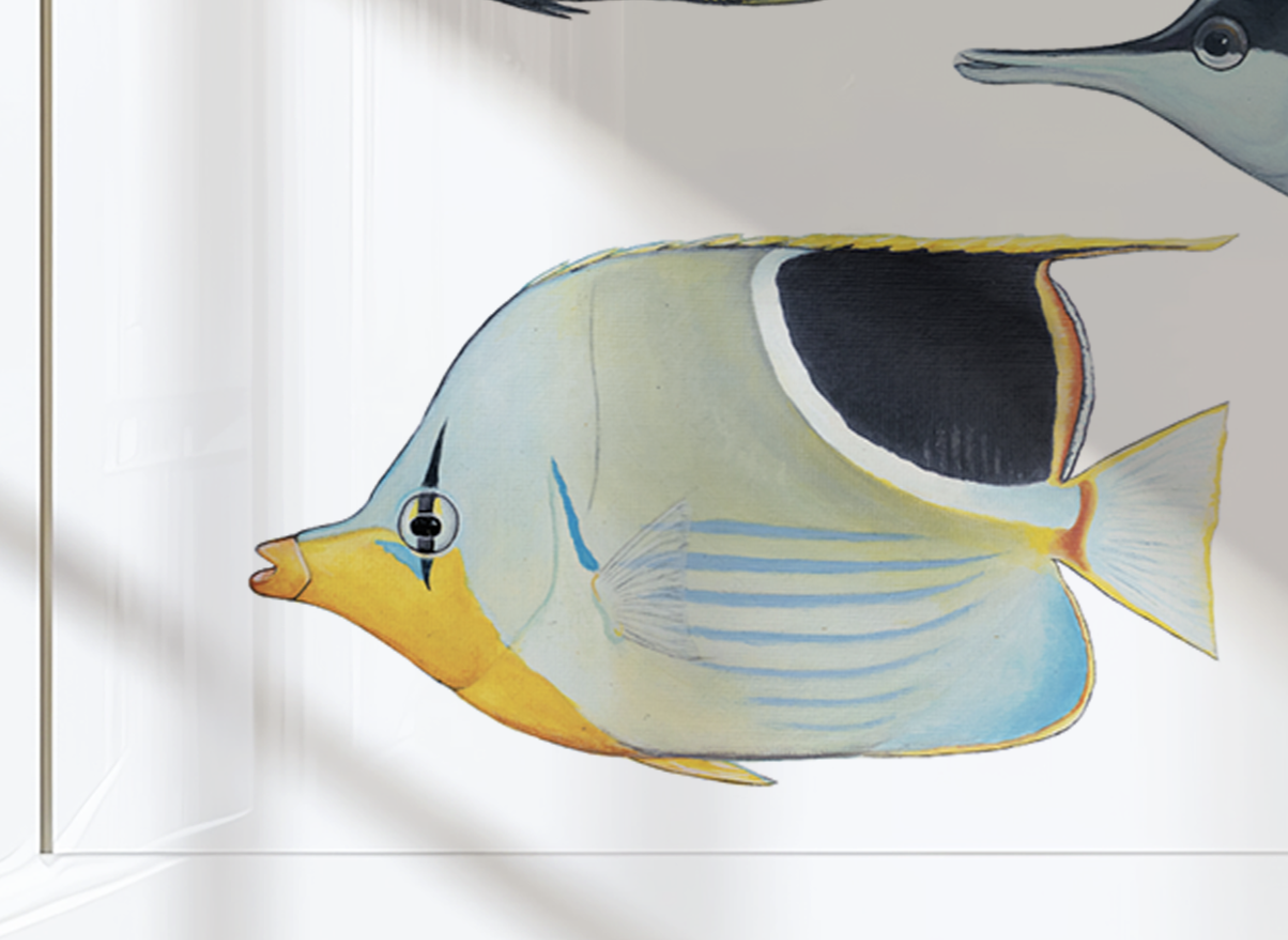 butterflyfish saddled mockup.png