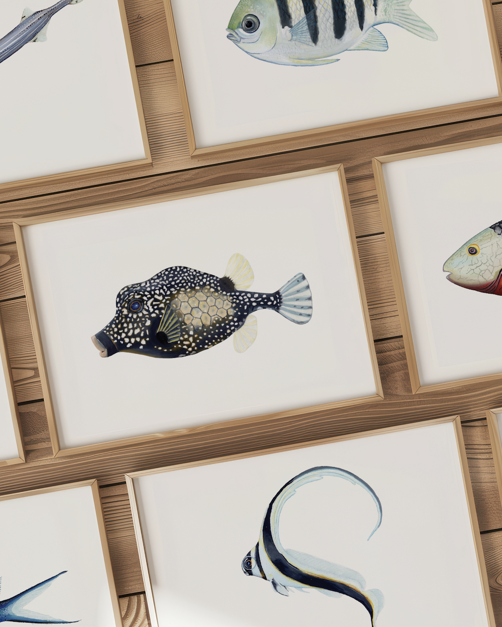 Smooth Trunkfish Closeup Mockup.png