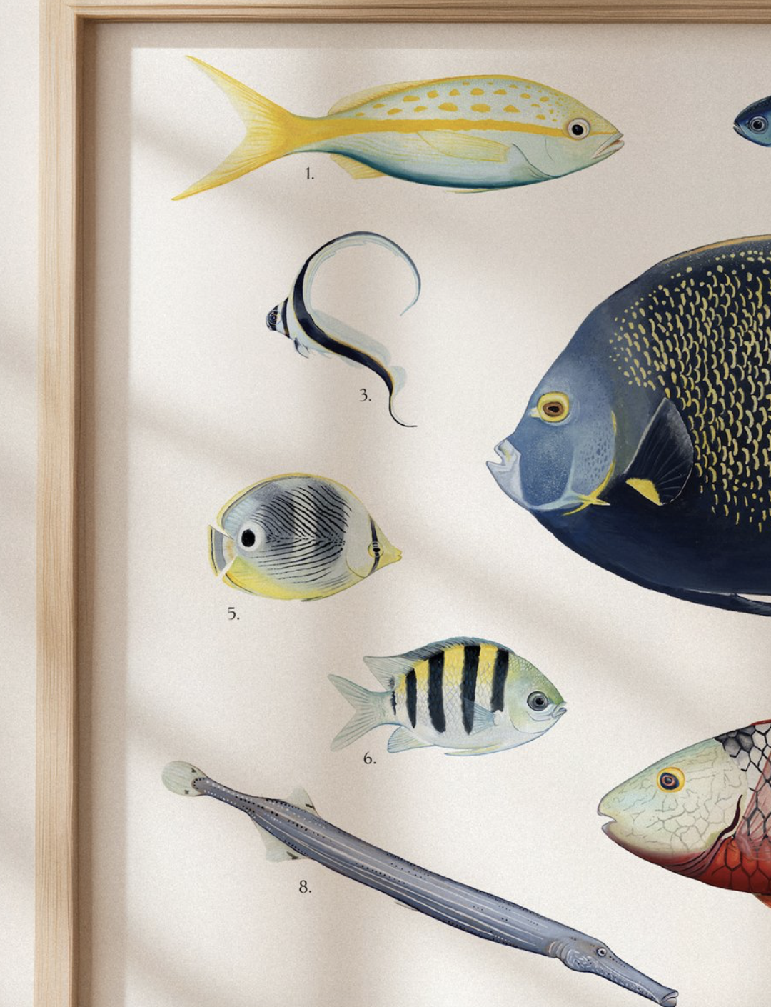 ReefFish_Closeup_Mockup.png